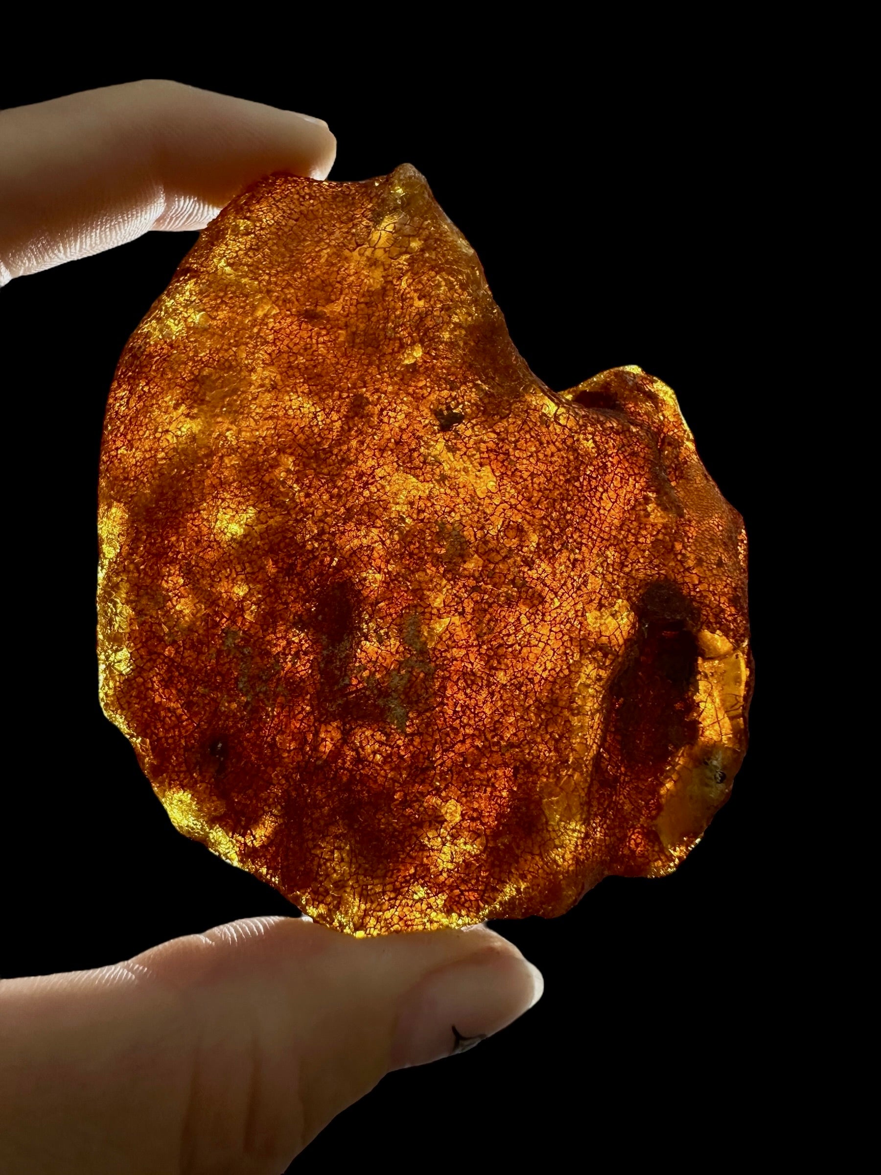 Raw Young Amber (Copal) – Colombia - JN302