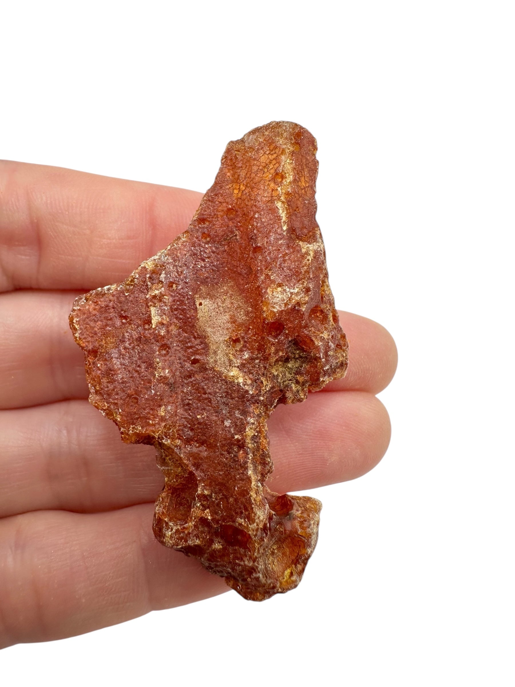 Raw Young Amber (Copal) – Colombia - JN303