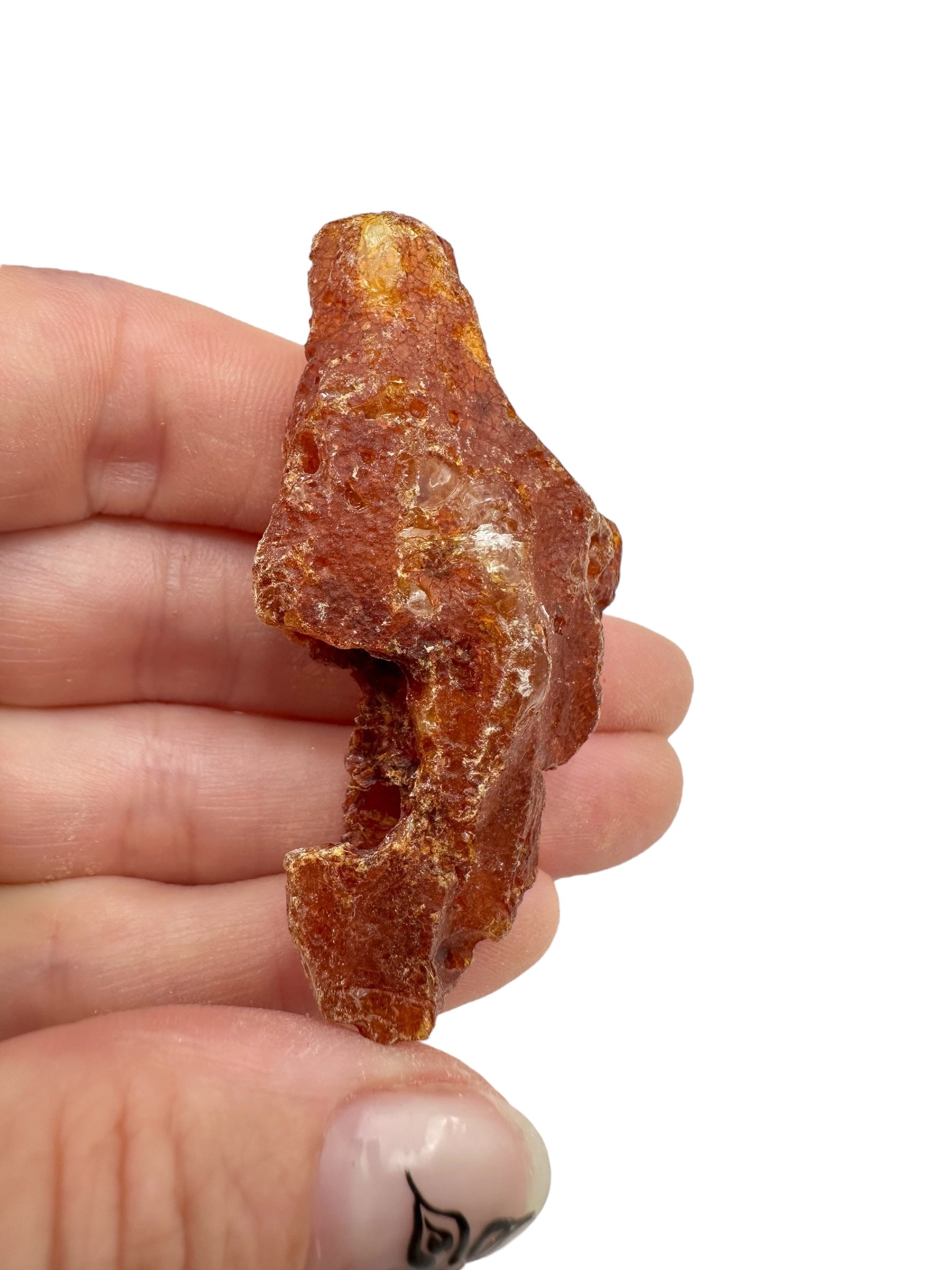 Raw Young Amber (Copal) – Colombia - JN303