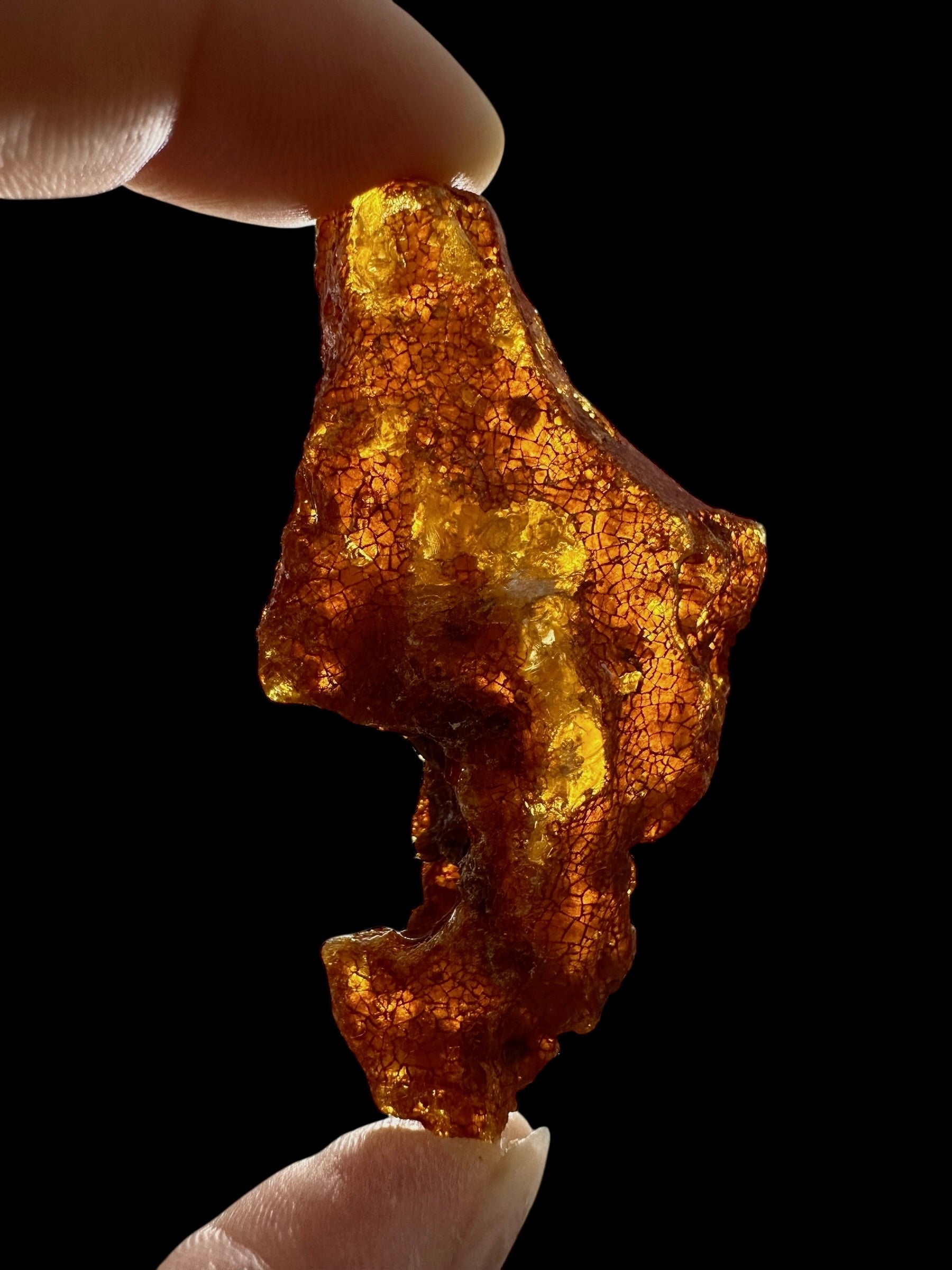 Raw Young Amber (Copal) – Colombia - JN303