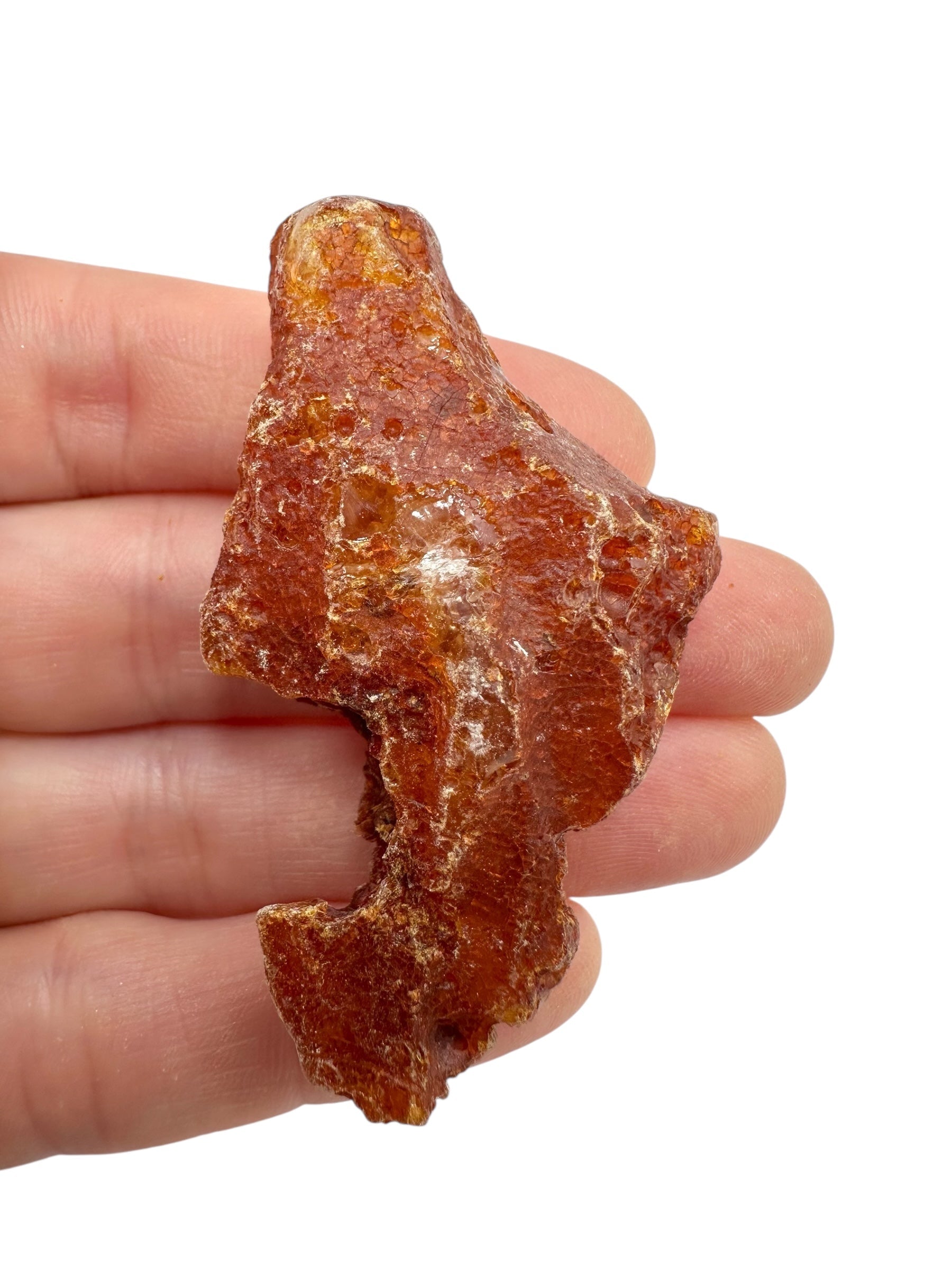 Raw Young Amber (Copal) – Colombia