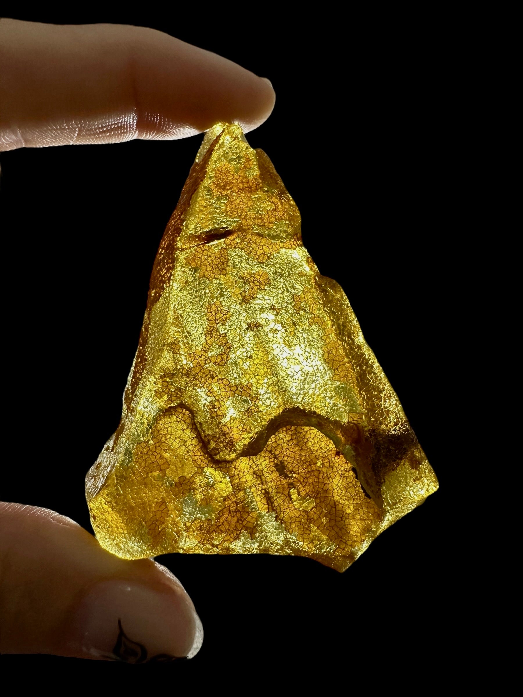 Raw Young Amber (Copal) – Colombia - JN304