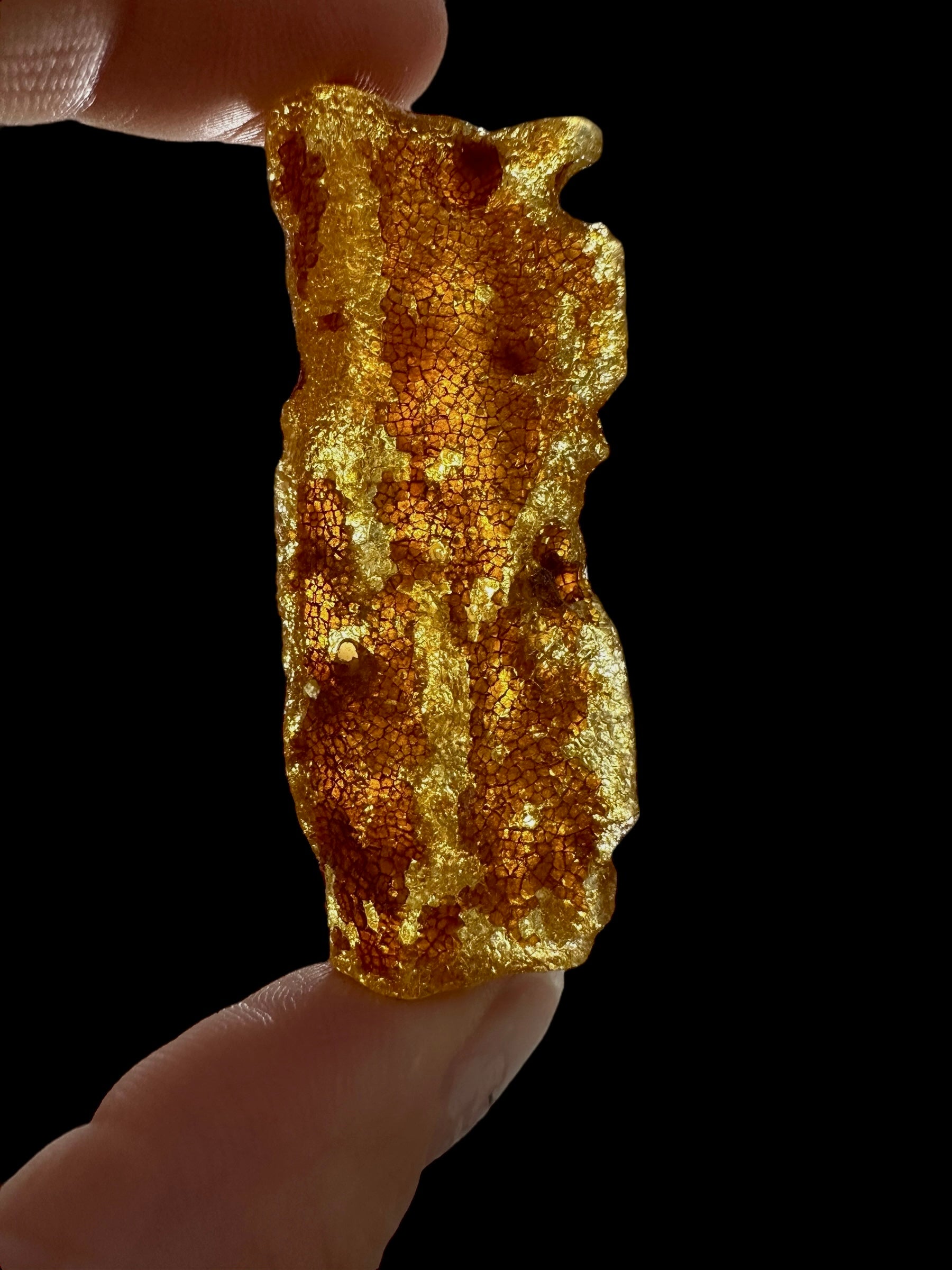 Raw Young Amber (Copal) – Colombia - JN305