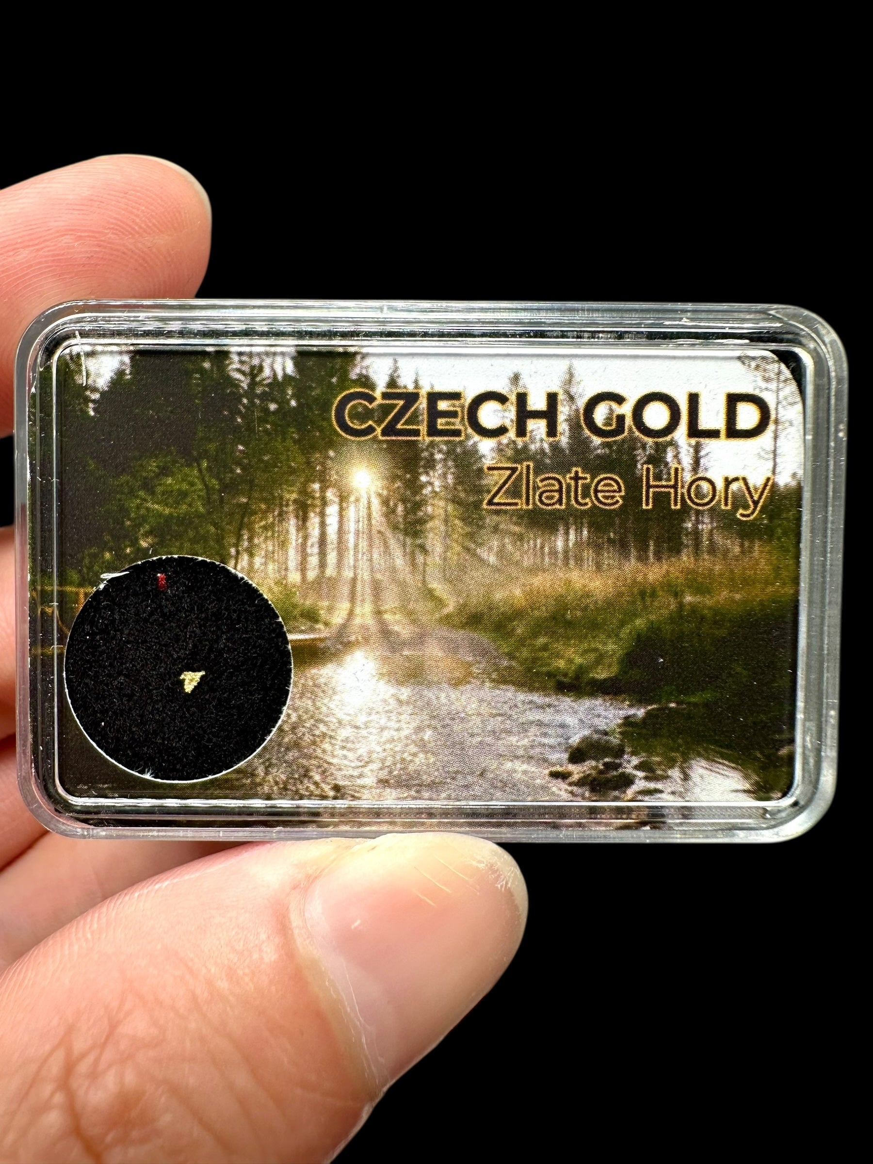 Gold on quarz in box – Zlate Hory, CZ