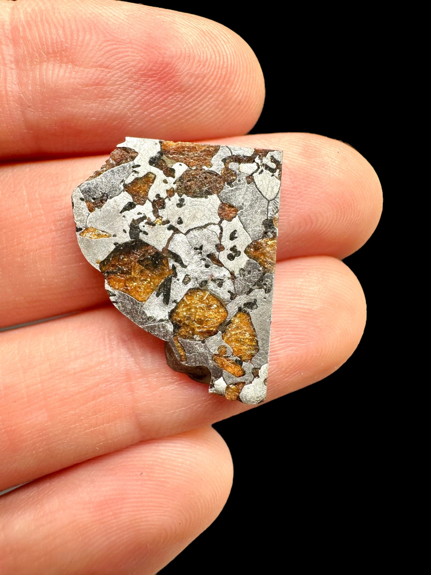 Meteorite Hassi el Biod 002 – 3,7g – Algeria