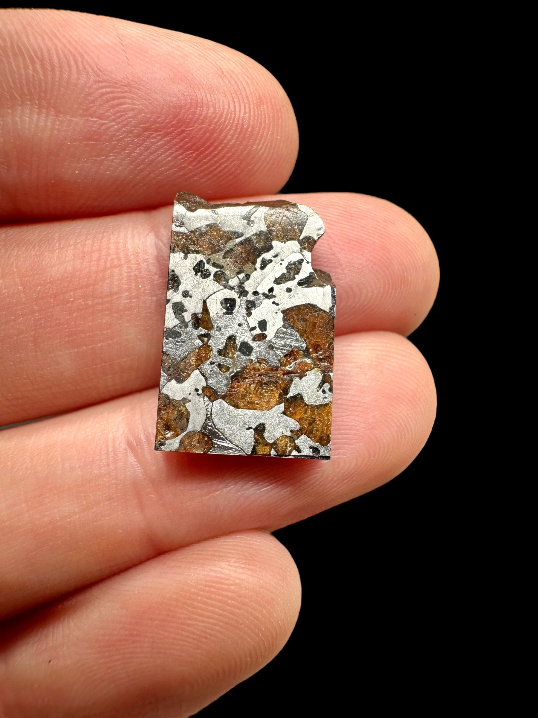 Meteorite Hassi el Biod 002 – 2,8g – Algeria - MEHA03