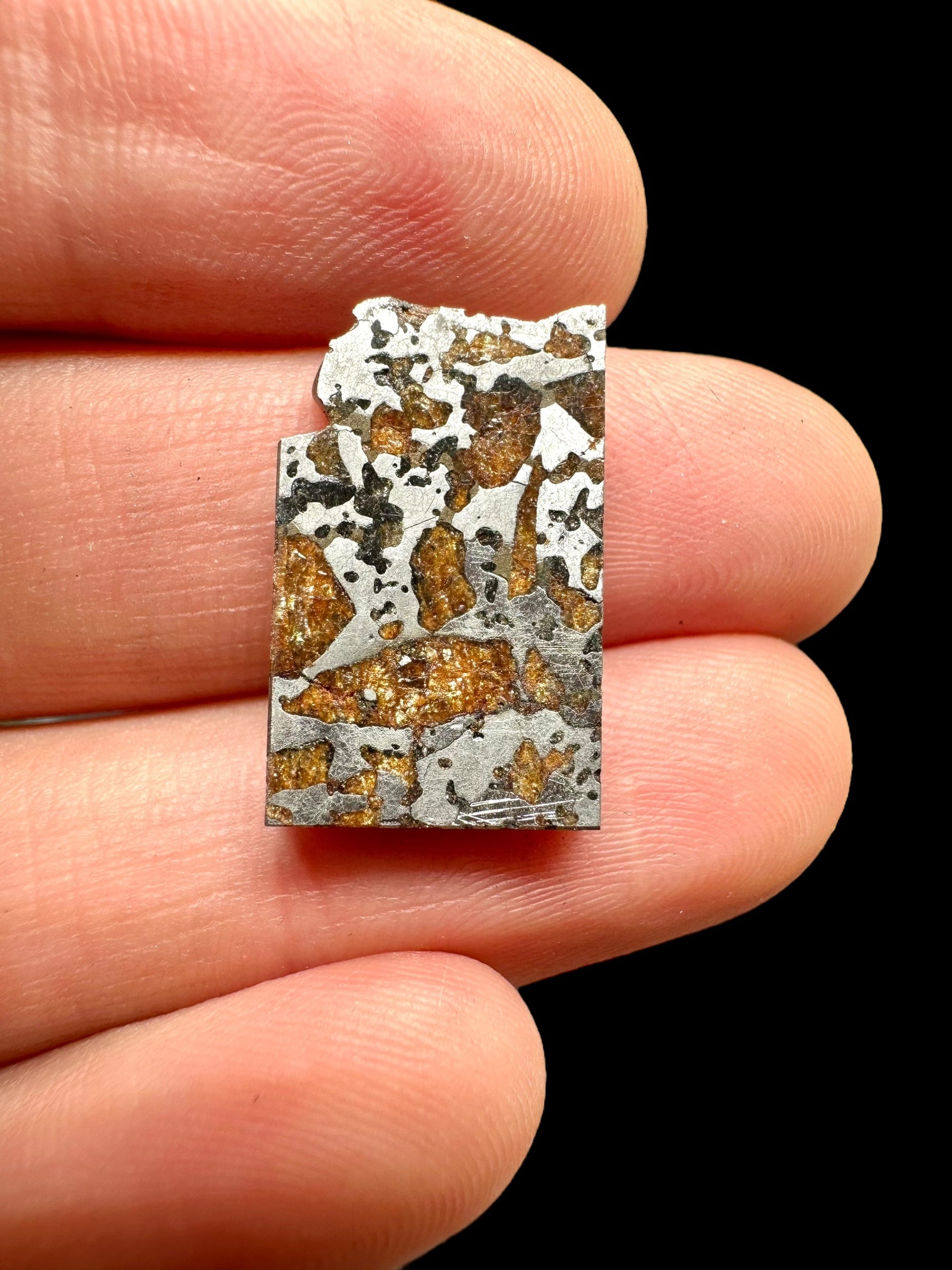 Meteorite Hassi el Biod 002 – 2,8g – Algeria