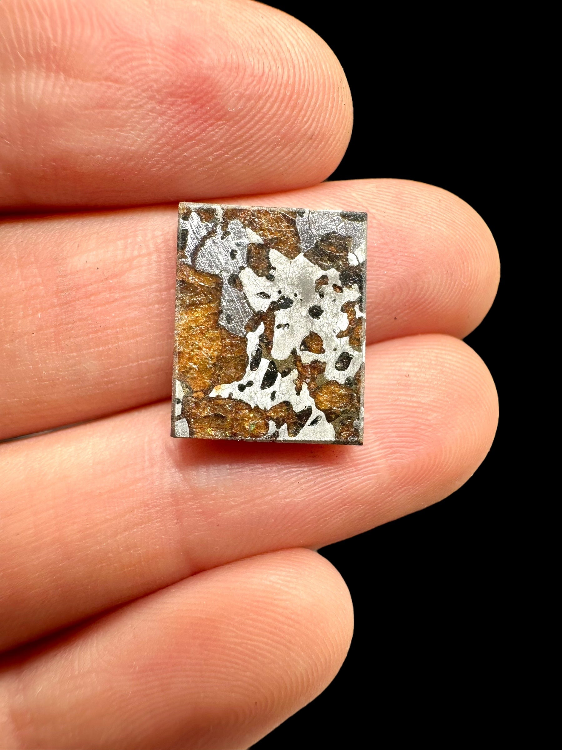 Meteorite Hassi el Biod 002 – 2,2g – Algeria