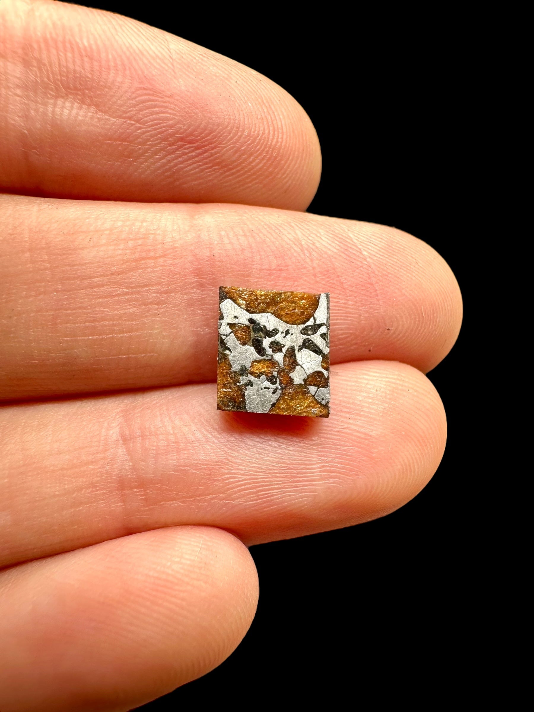 Meteorite Hassi el Biod 002 – 0,8g – Algeria - MEHA10