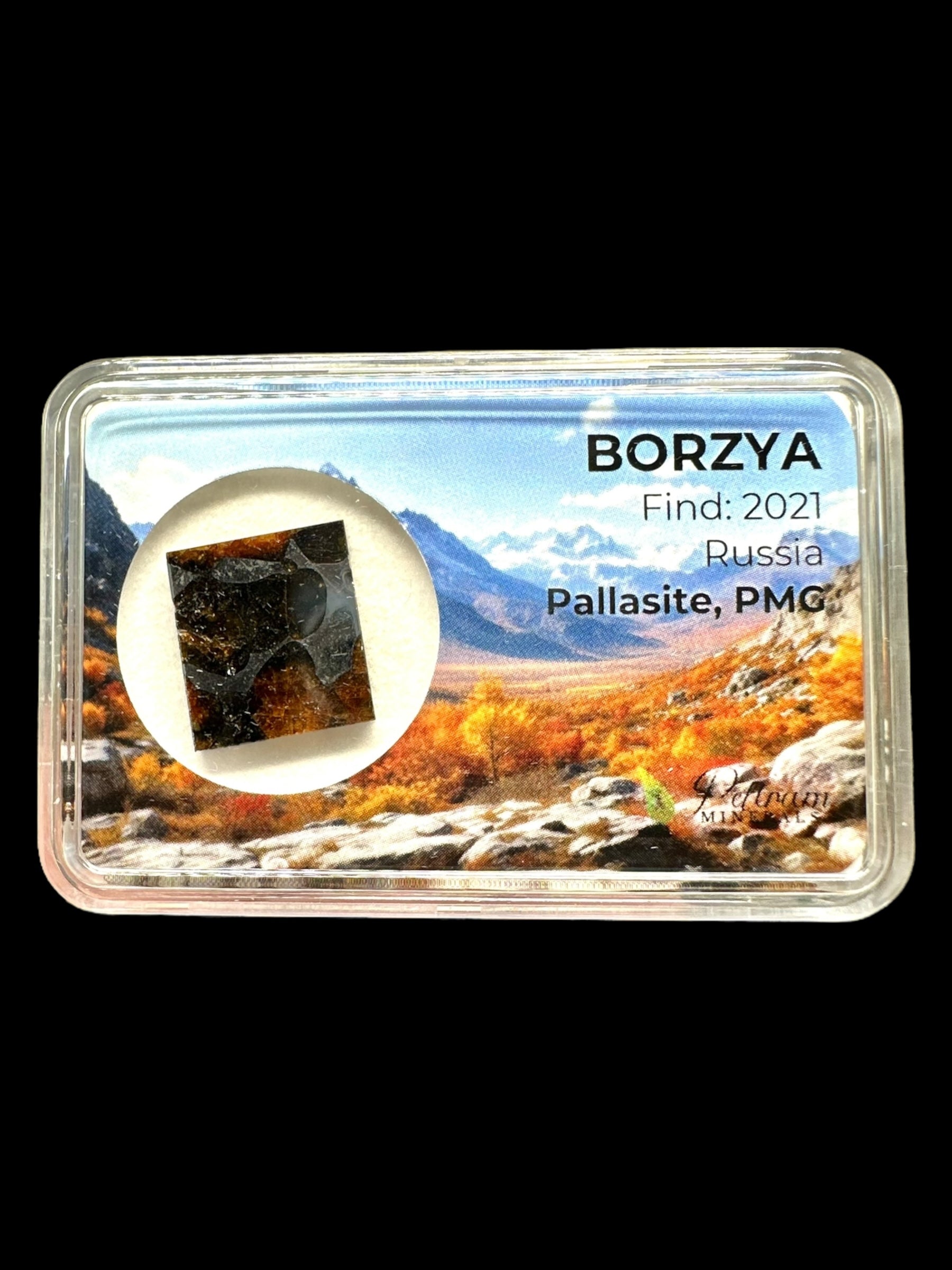 Meteorite Borzya 2g – Russia