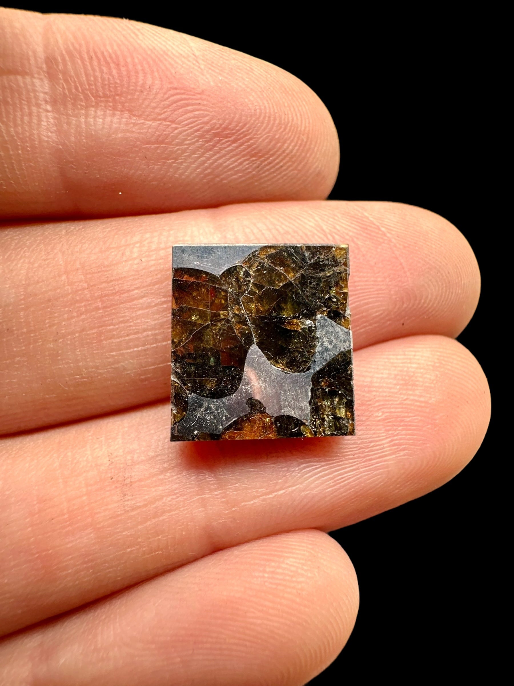 Meteorite Borzya 1,9g – Russia - MEBO13