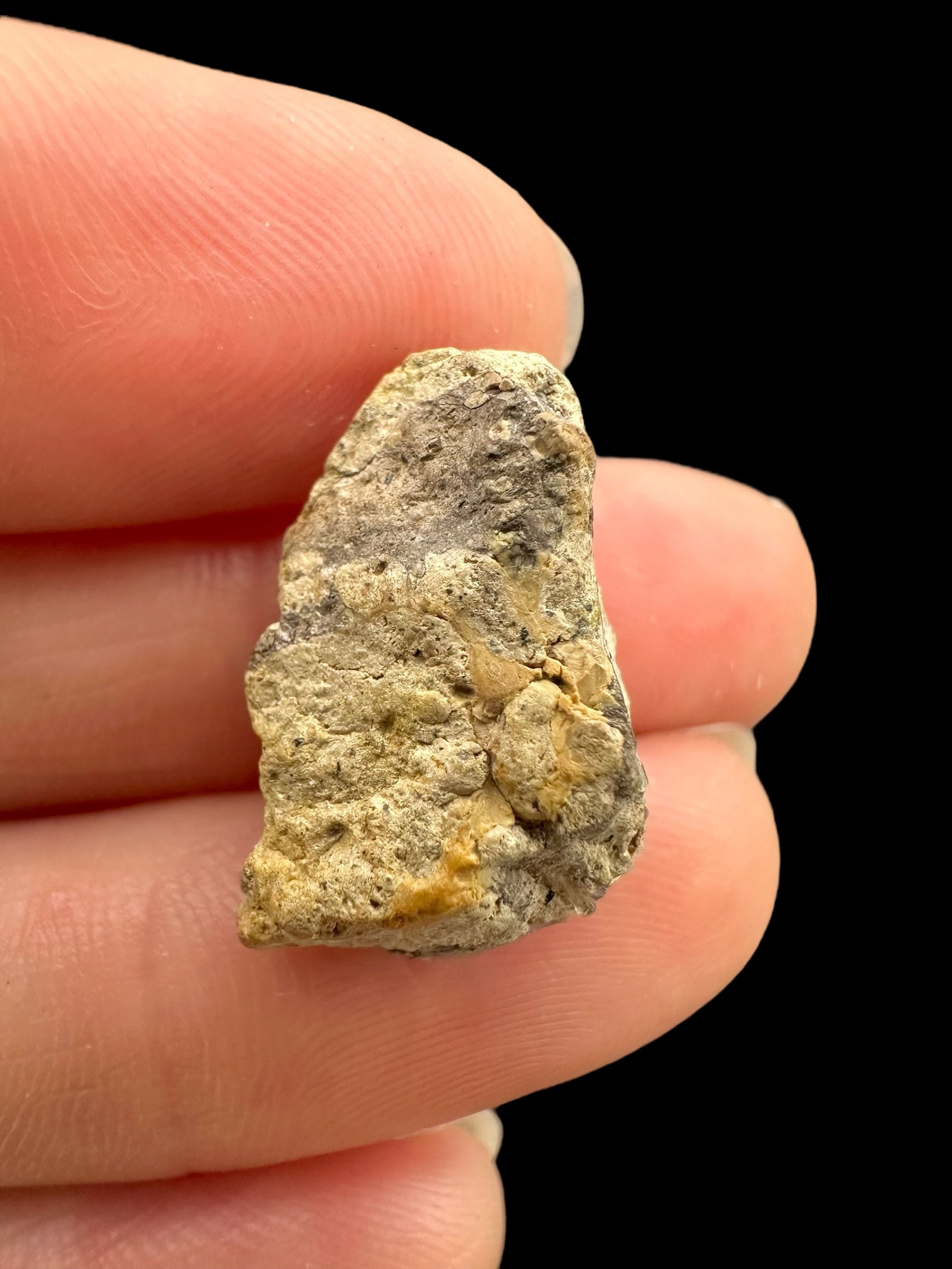 Precious opal 8ct – Welo, Ethiopia - OP311