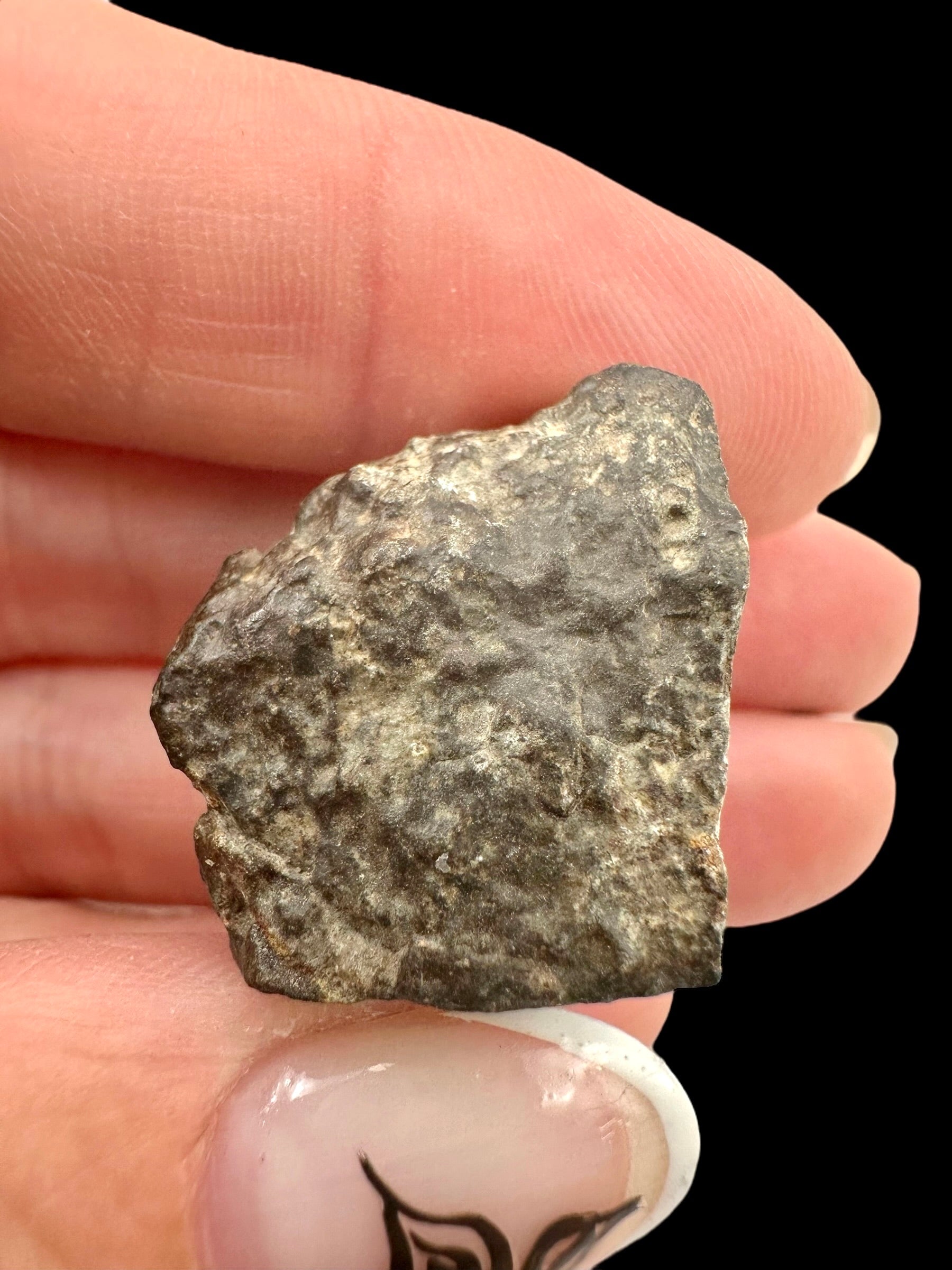 Meteorite Bechar 008, Howardite 12,7g – Algeria - MEBE46