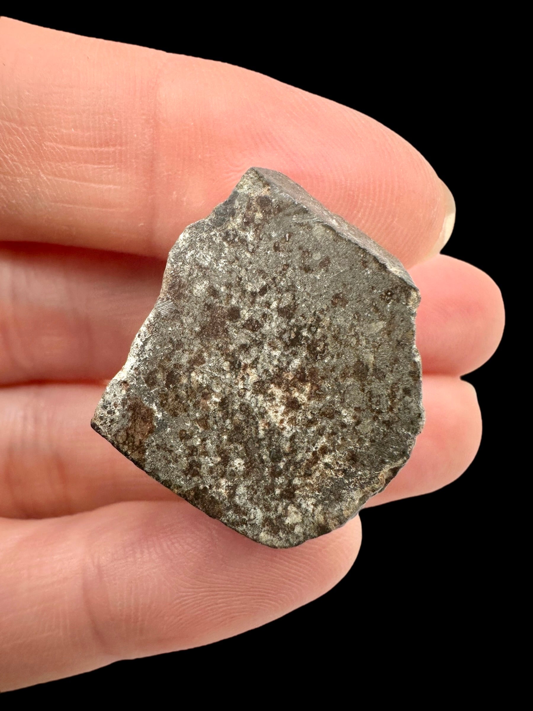 Meteorite Bechar 008, Howardite 12,7g – Algeria