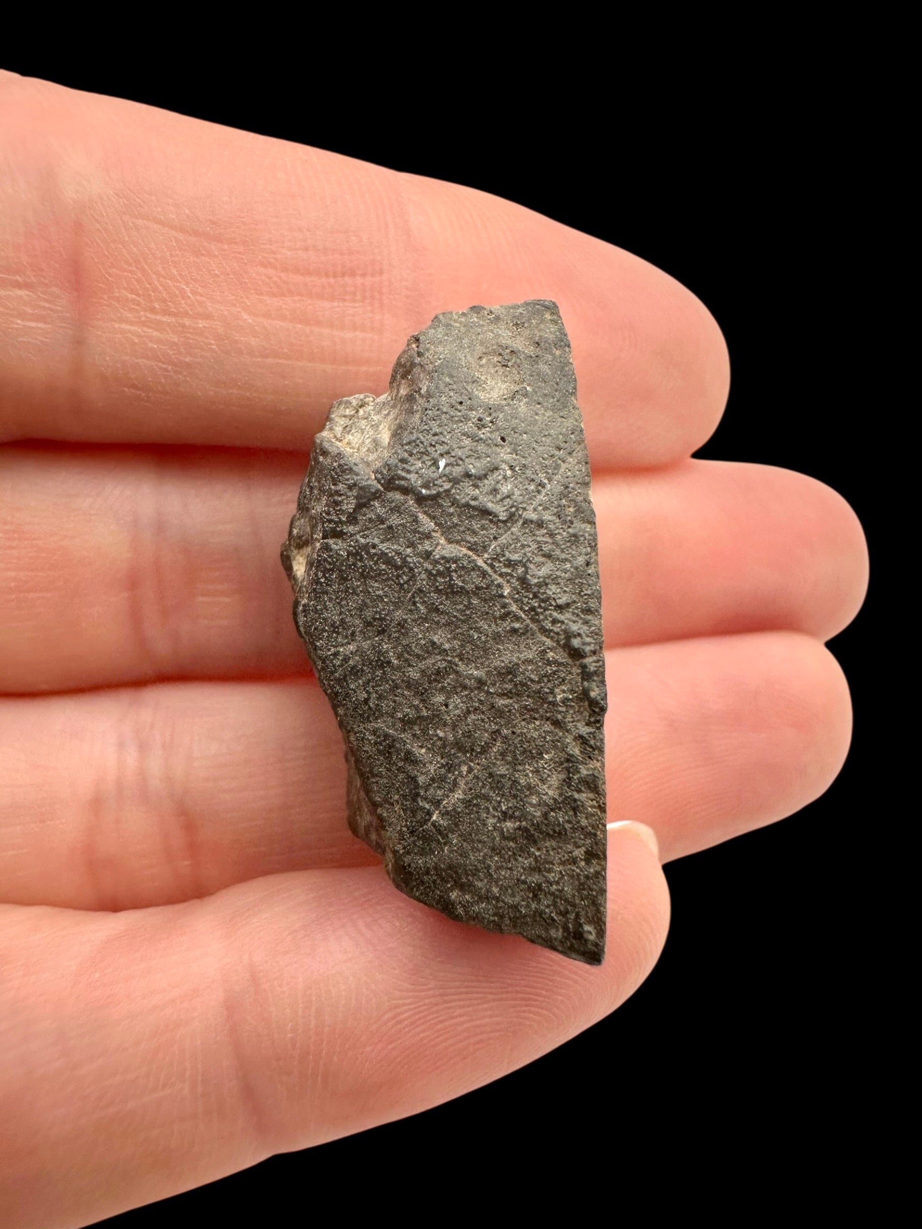 Meteorite Bechar 008, Howardite 11g – Algeria - MEBE47