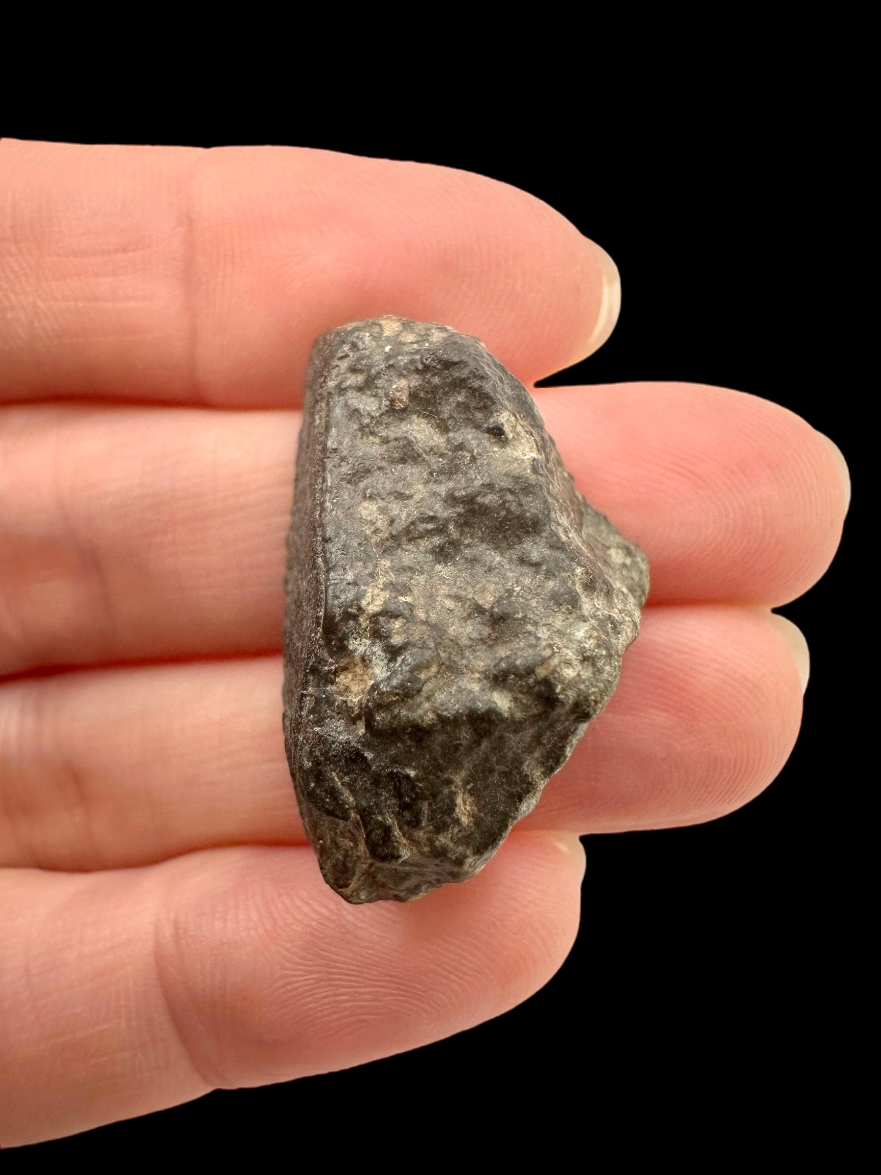 Meteorite Bechar 008, Howardite 11g – Algeria - MEBE47