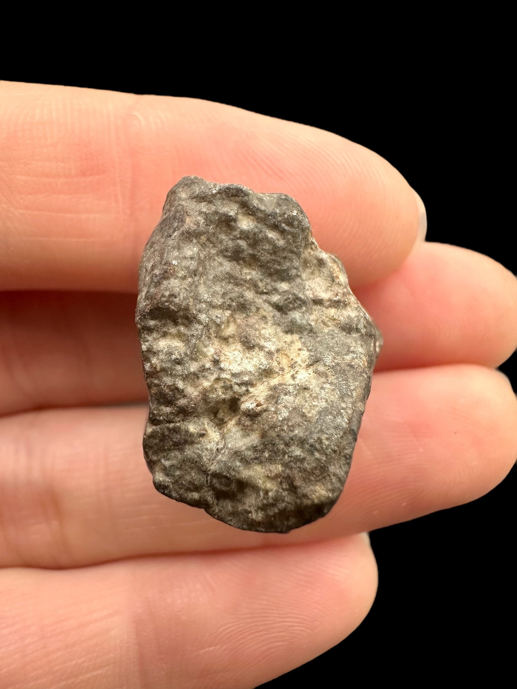 Meteorite Bechar 008, Howardite 10,7g – Algeria - MEBE50