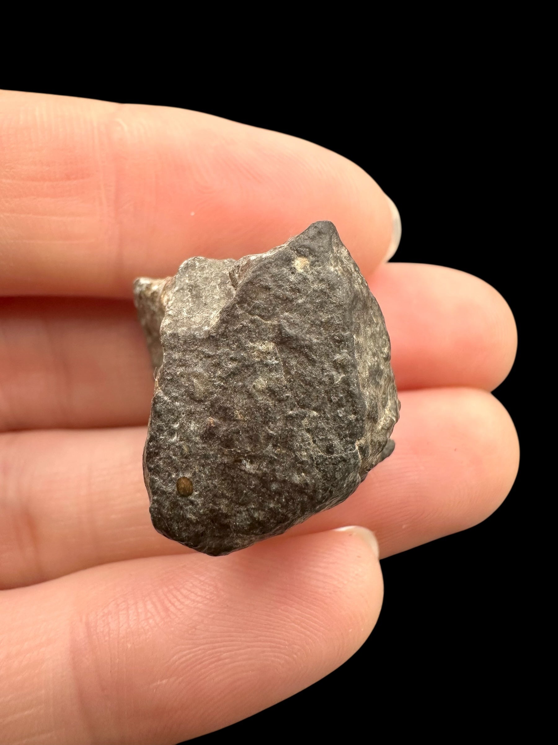 Meteorite Bechar 008, Howardite 10,7g – Algeria - MEBE50