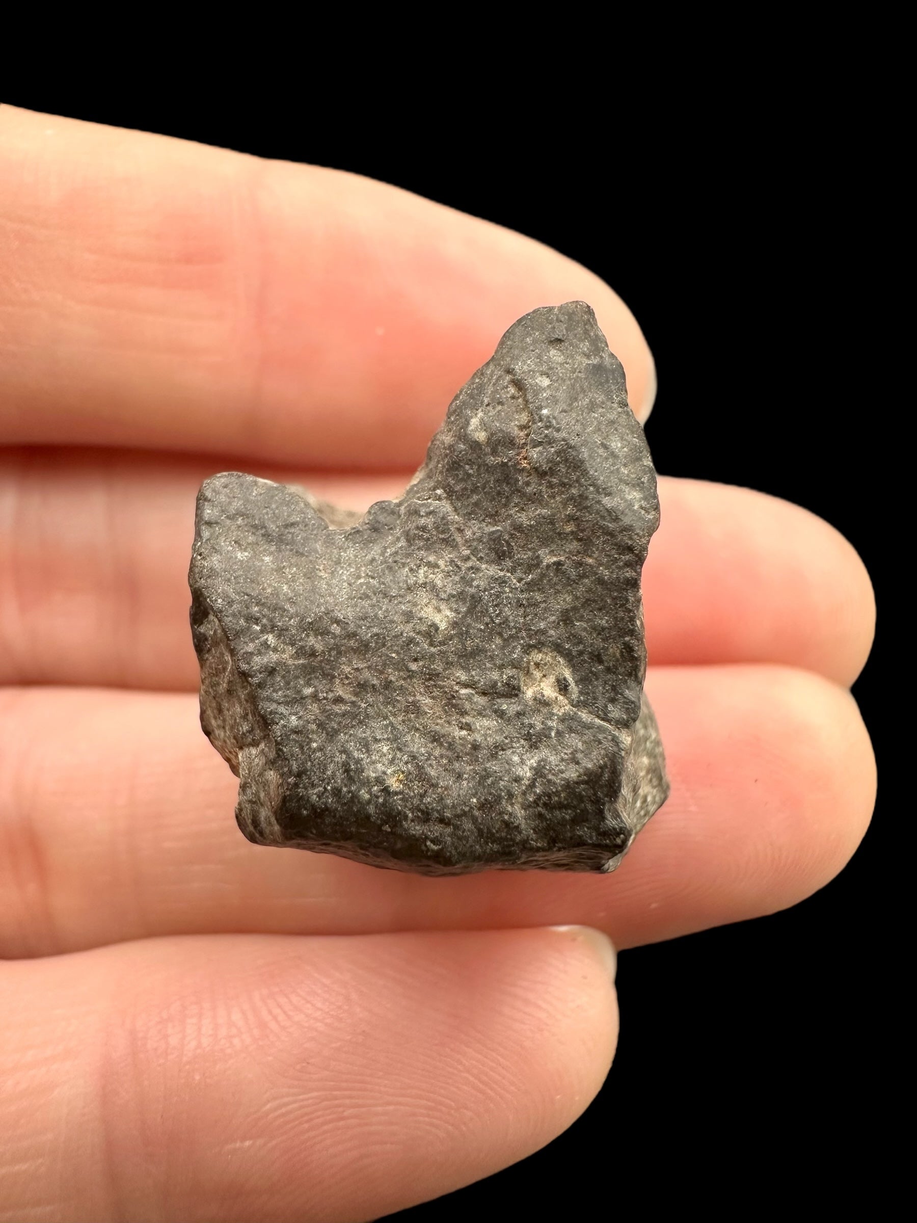 Meteorite Bechar 008, Howardite 10,7g – Algeria