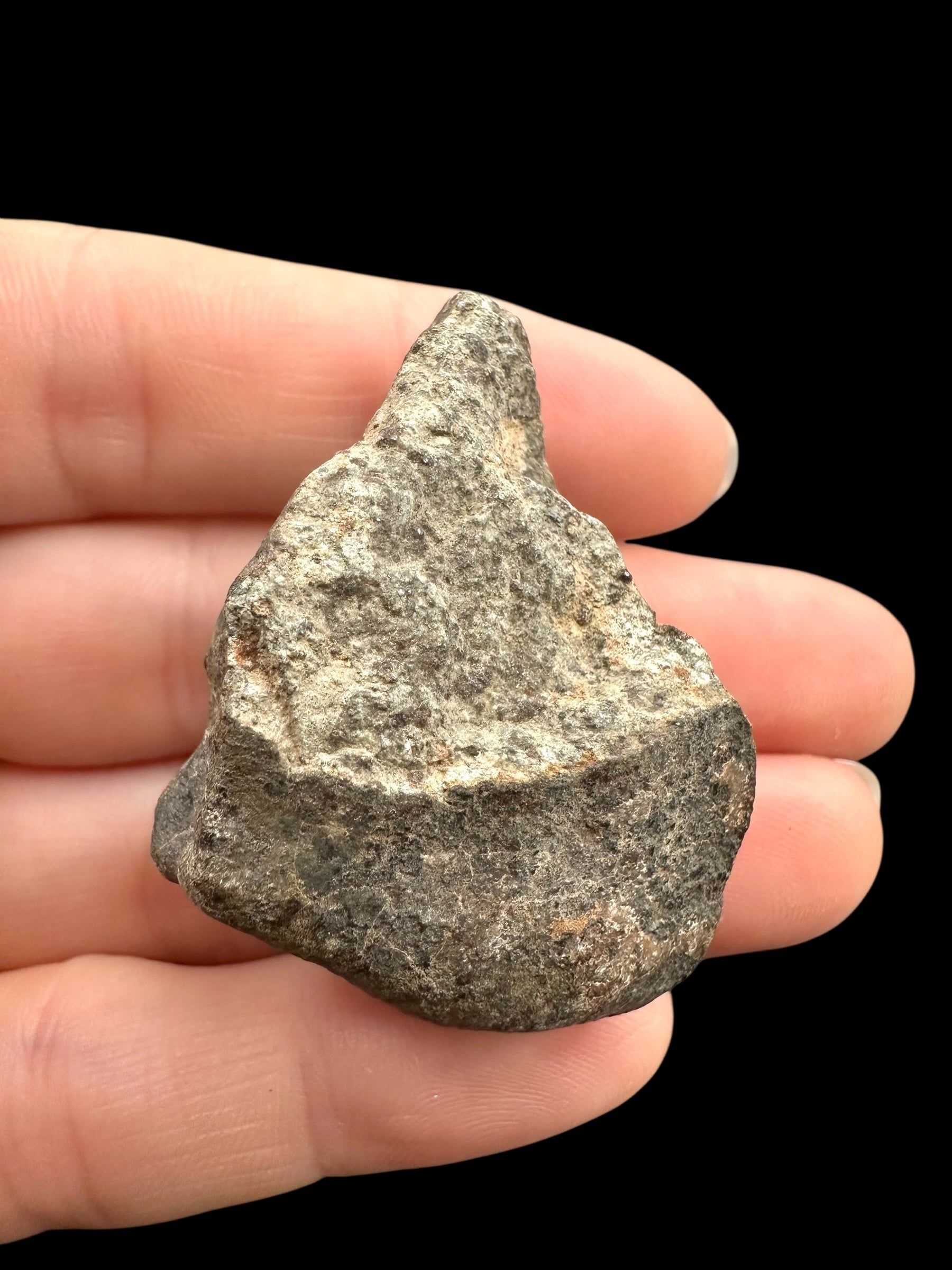 Meteorite Bechar 008, Howardite 28,5g – Algeria - MEBE51