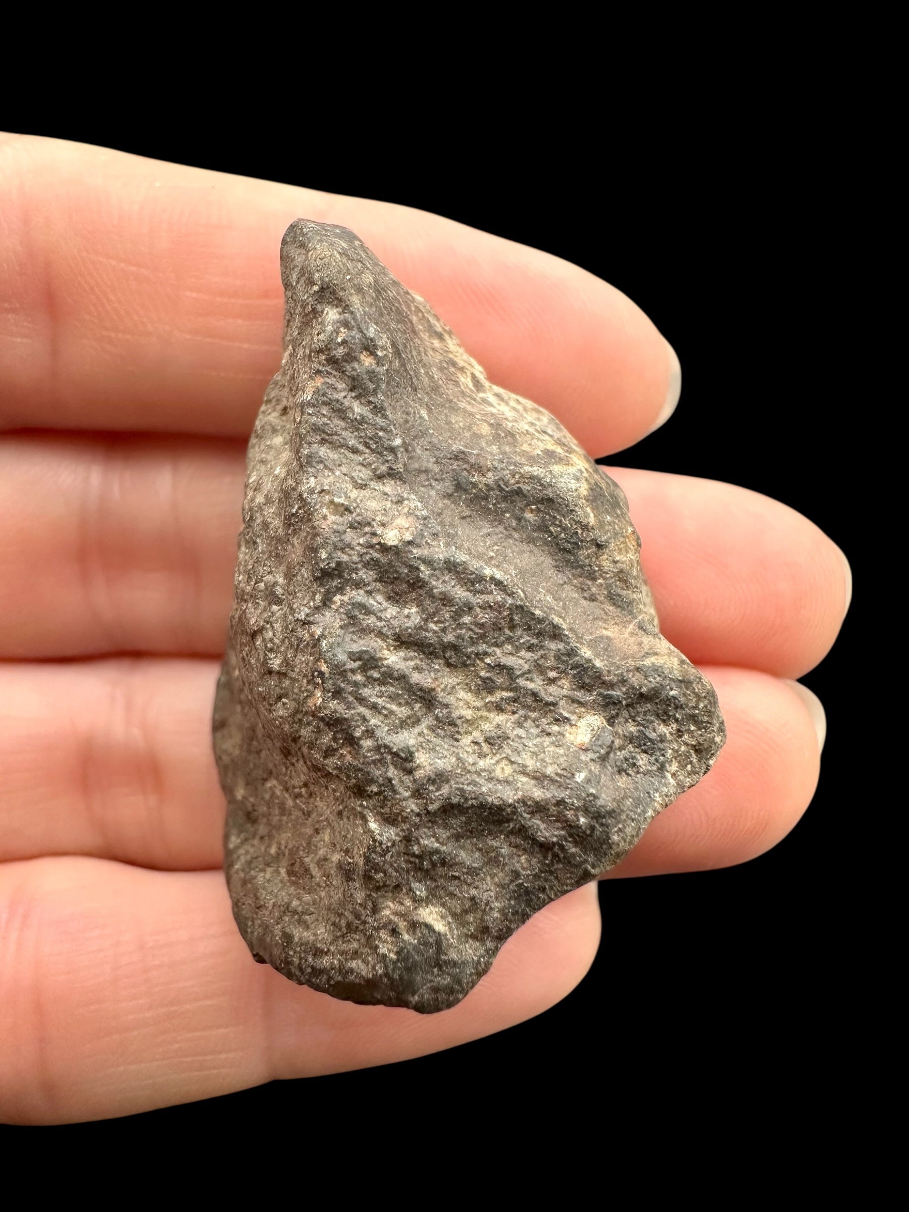 Meteorite Bechar 008, Howardite 28,5g – Algeria - MEBE51