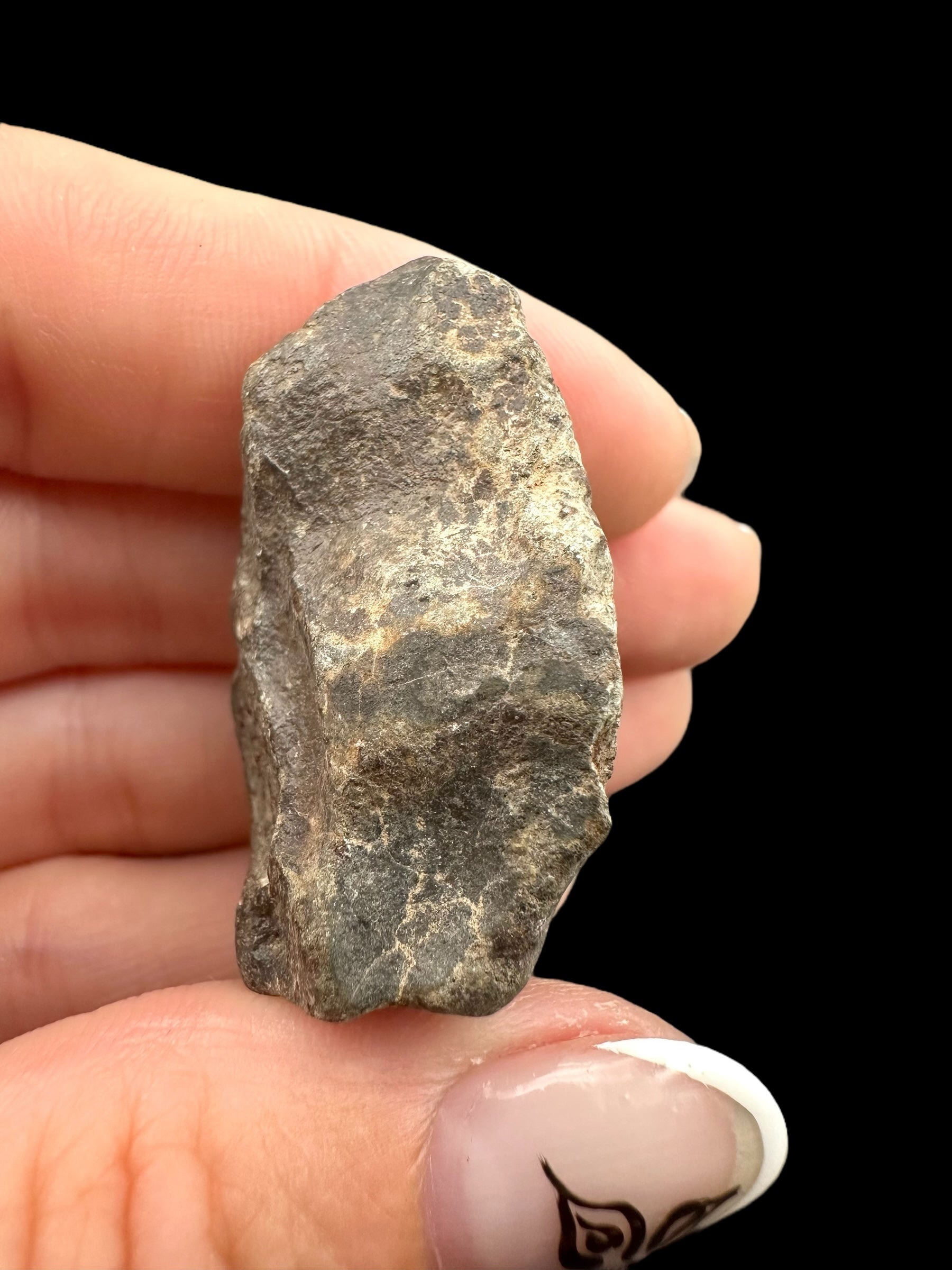 Meteorite Bechar 008, Howardite 28,5g – Algeria - MEBE51
