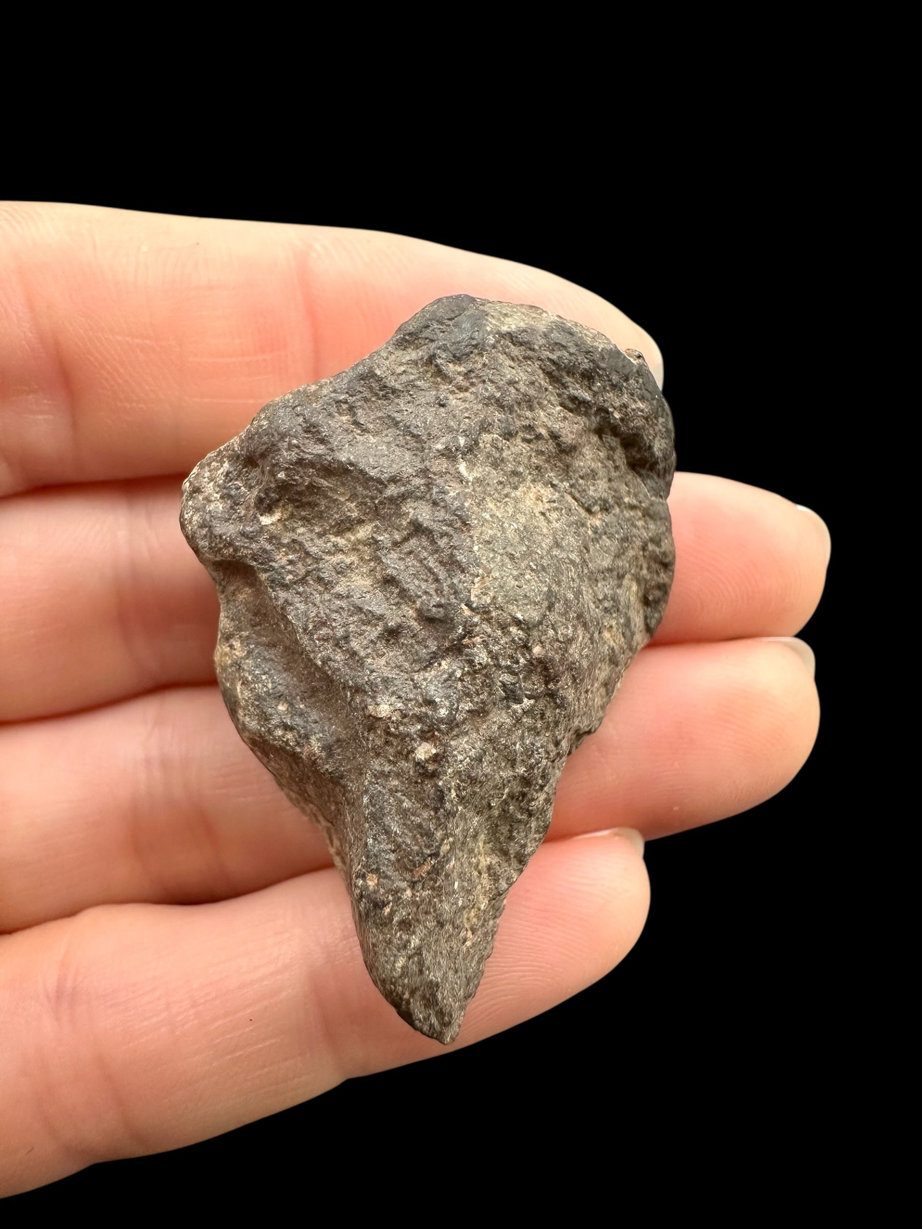 Meteorite Bechar 008, Howardite 28,5g – Algeria