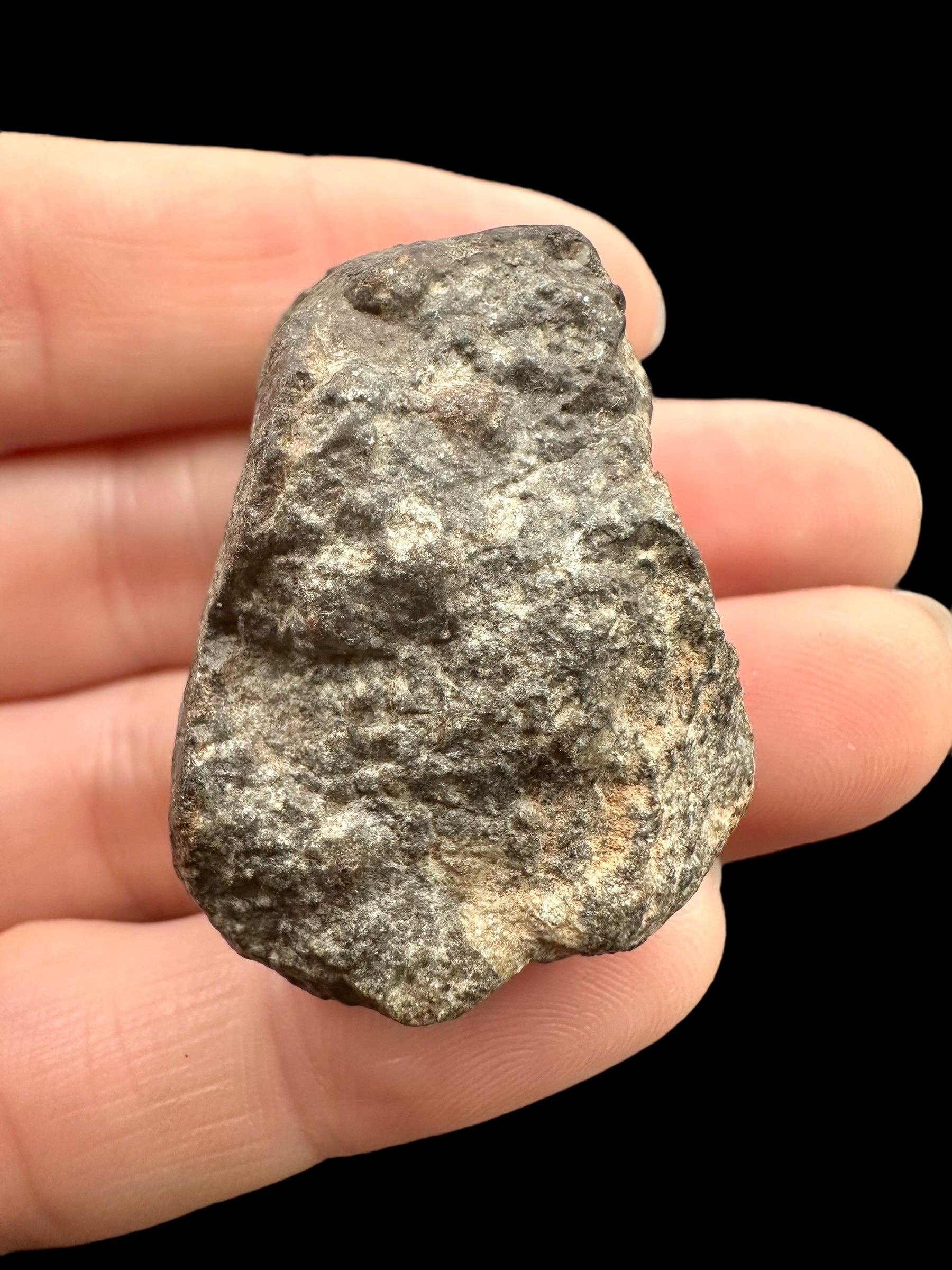Meteorite Bechar 008, Howardite 30,2g – Algeria - MEBE52