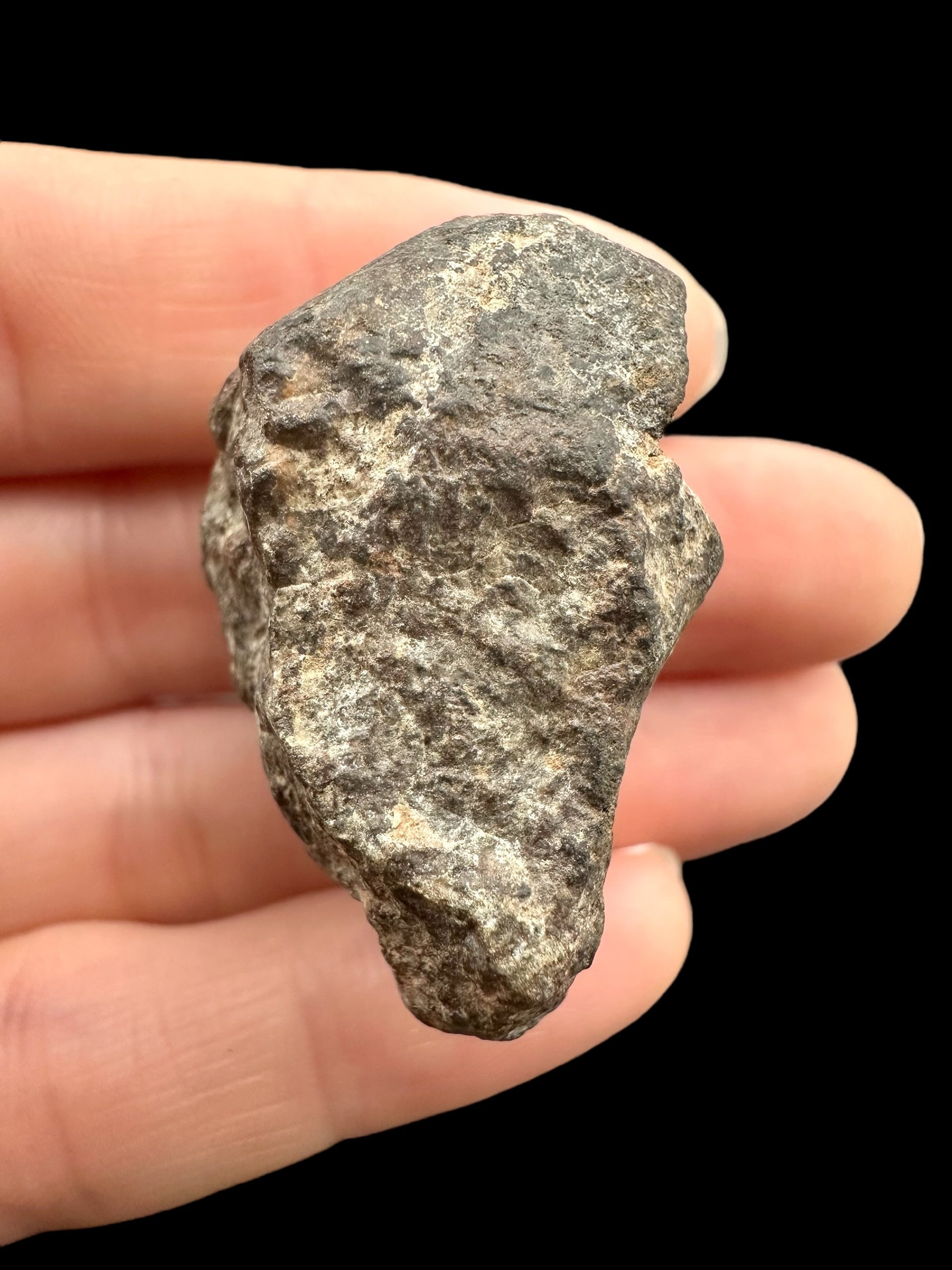 Meteorite Bechar 008, Howardite 30,2g – Algeria - MEBE52