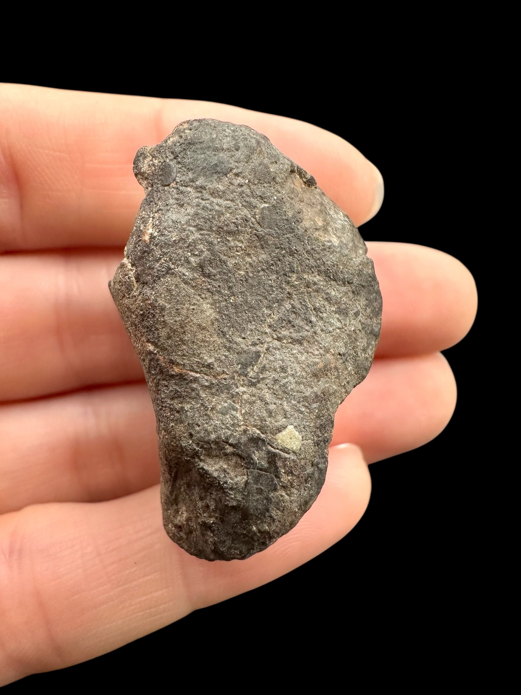 Meteorite Bechar 008, Howardite 30,2g – Algeria - MEBE52