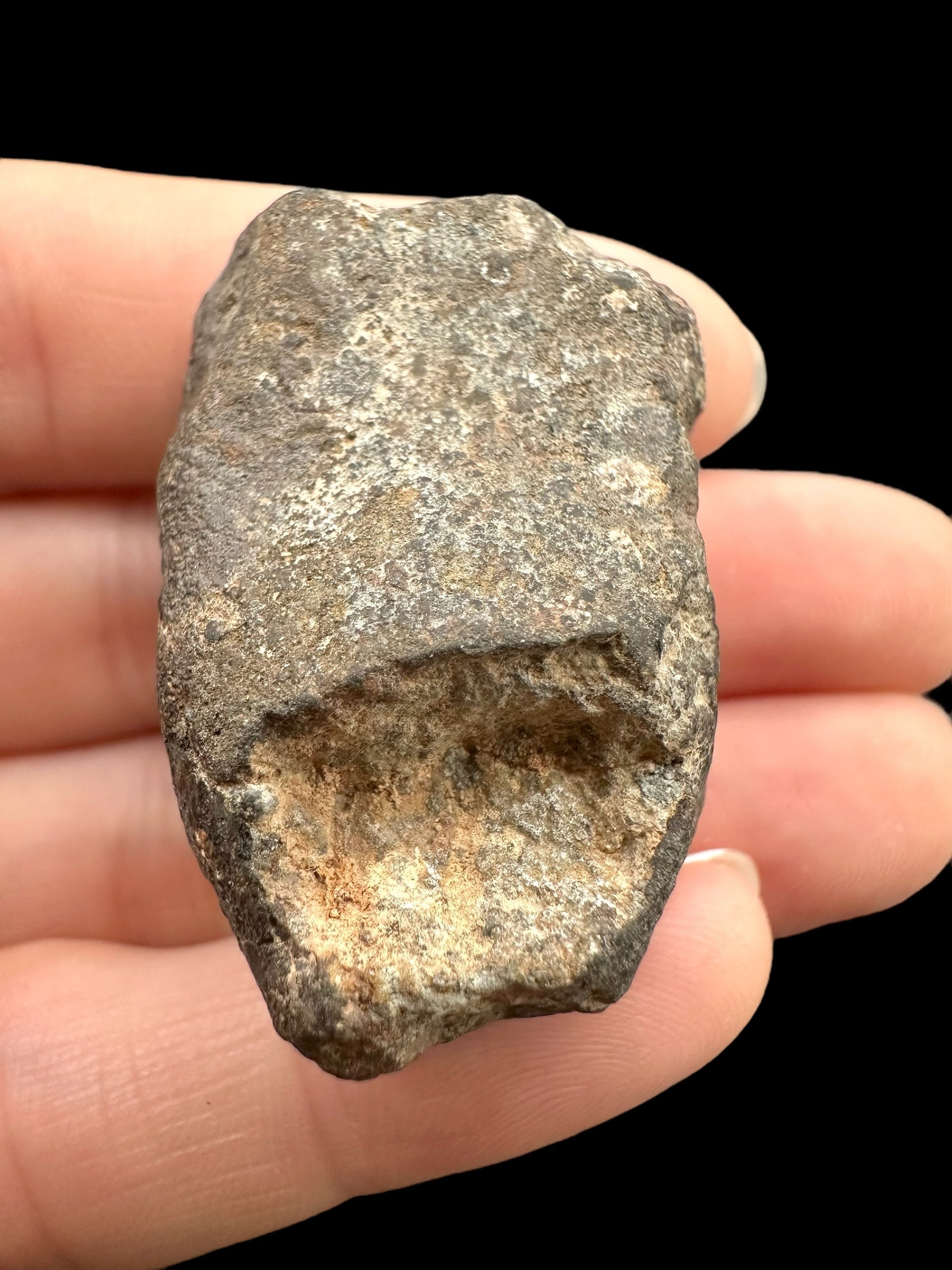 Meteorite Bechar 008, Howardite 30,2g – Algeria