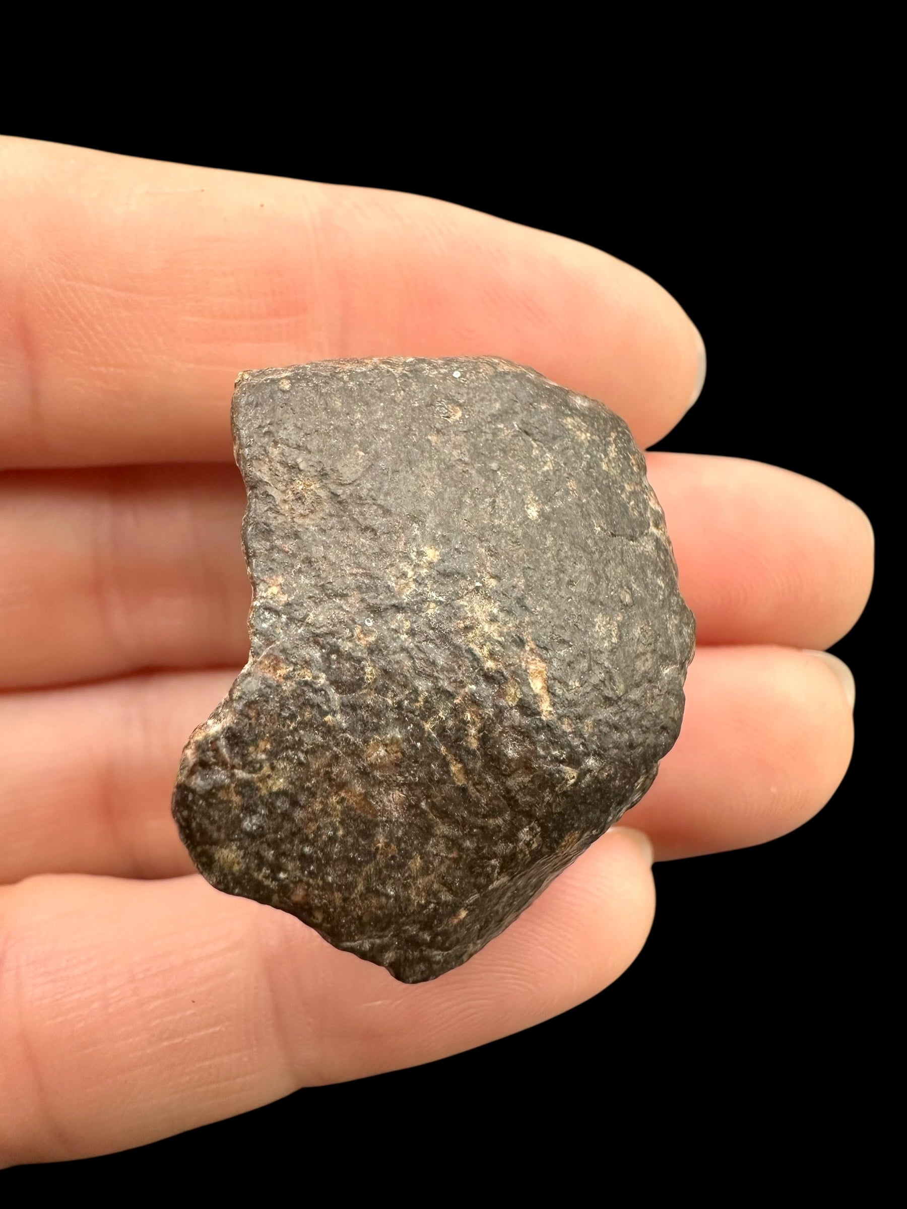 Meteorite Bechar 008, Howardite 24,6g – Algeria - MEBE53