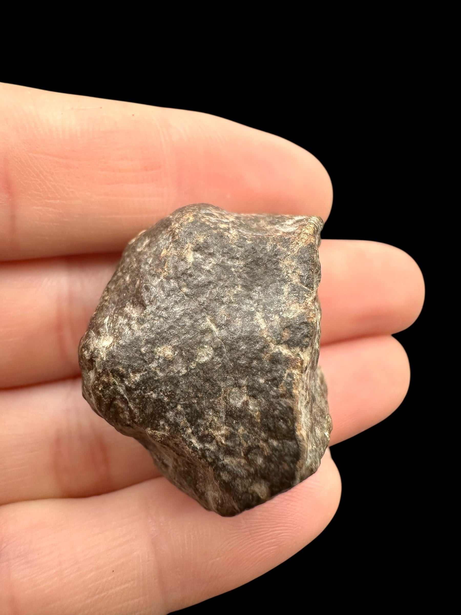 Meteorite Bechar 008, Howardite 24,6g – Algeria - MEBE53