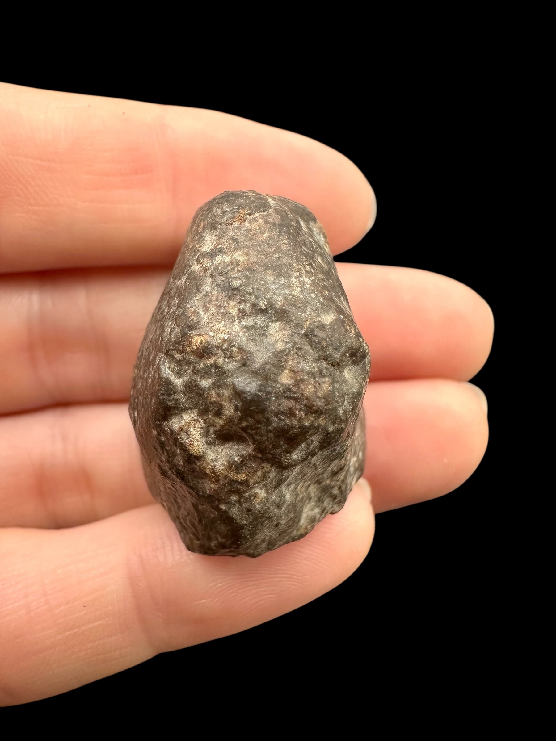 Meteorite Bechar 008, Howardite 24,6g – Algeria - MEBE53