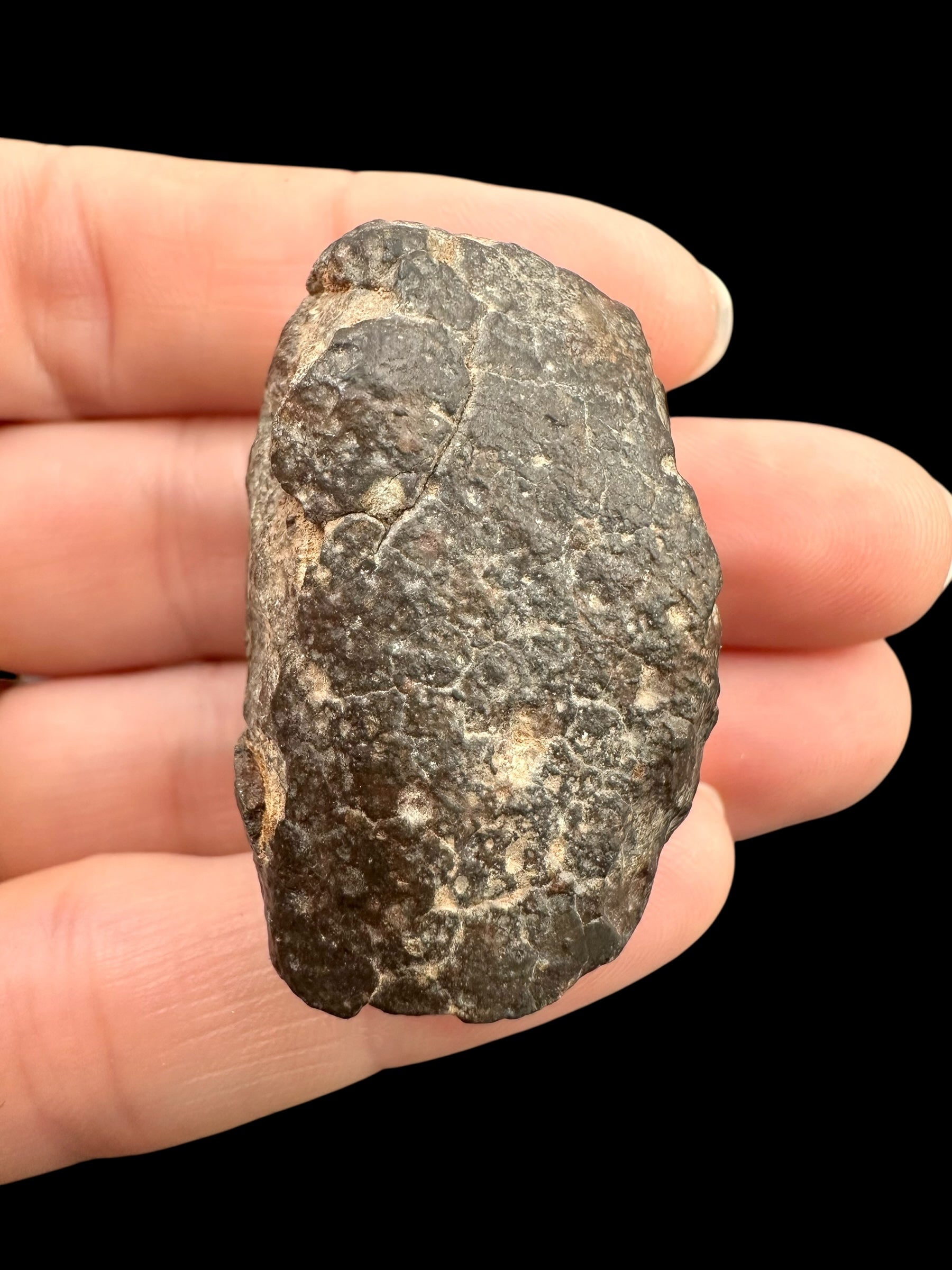 Meteorite Bechar 008, Howardite 33,4g – Algeria - MEBE54
