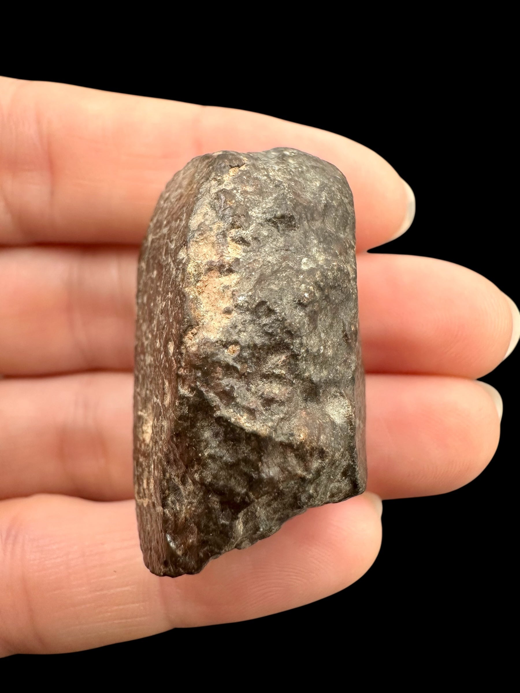 Meteorite Bechar 008, Howardite 33,4g – Algeria - MEBE54