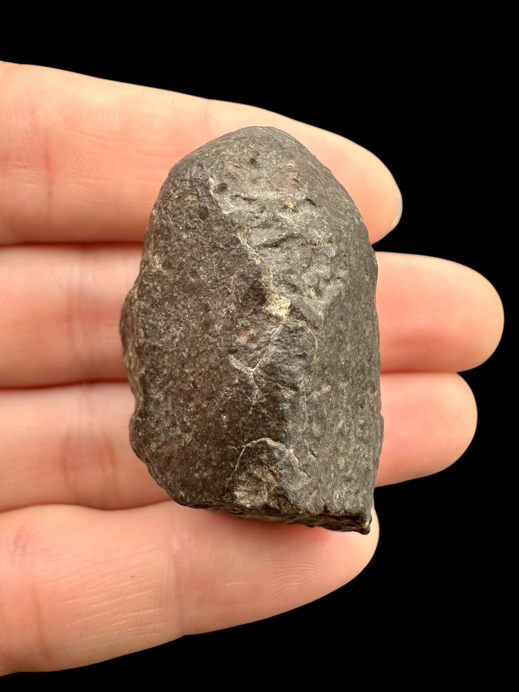 Meteorite Bechar 008, Howardite 33,4g – Algeria