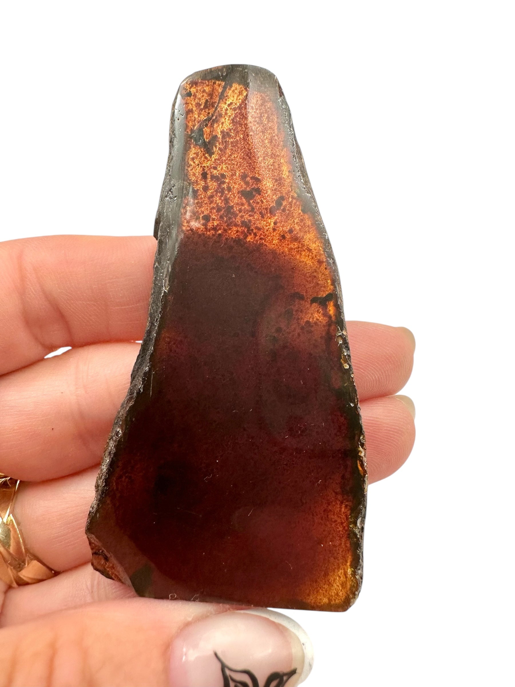Amber slice – Sumatra, Indonesia - JN306