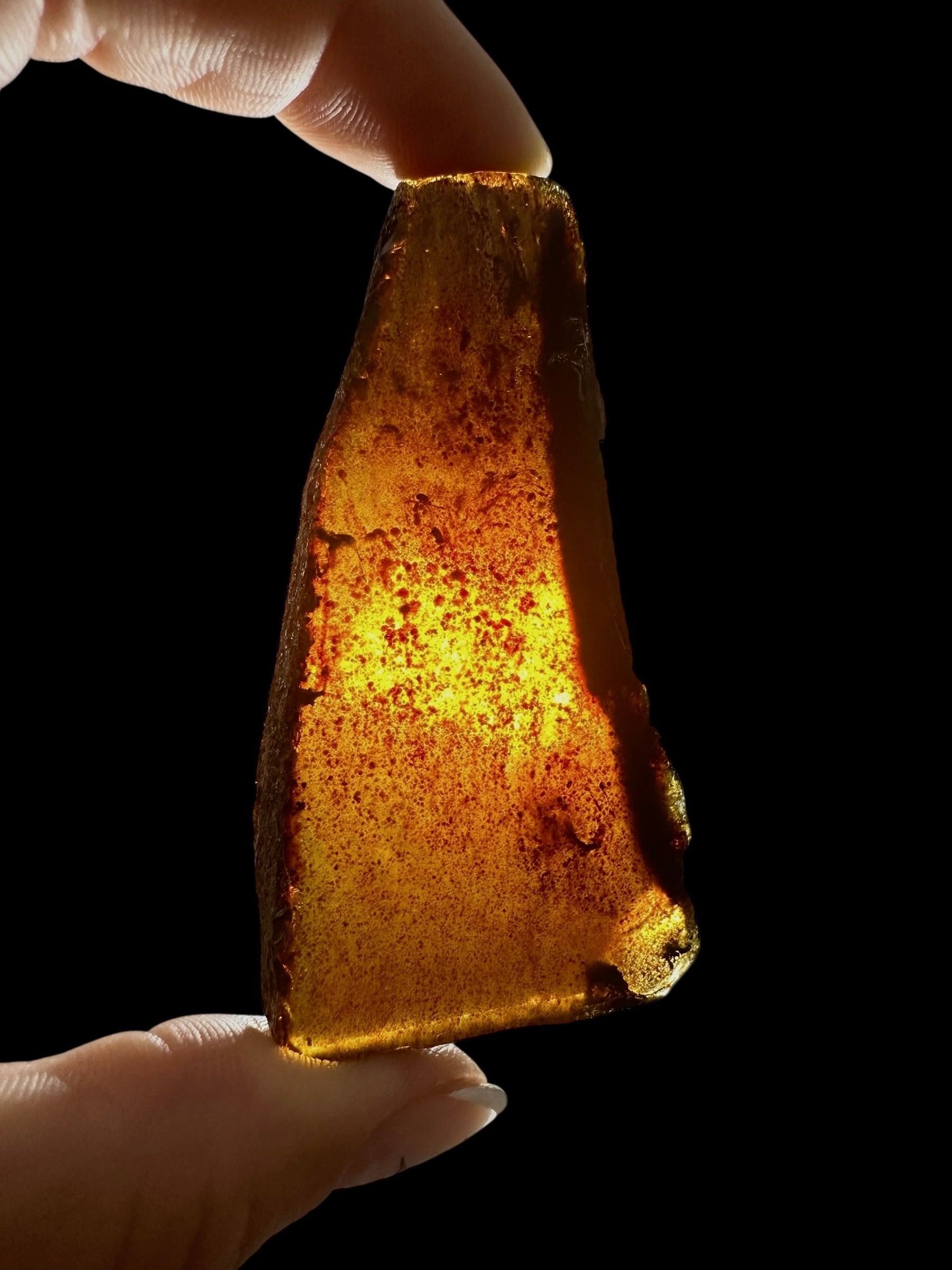 Amber slice – Sumatra, Indonesia - JN306