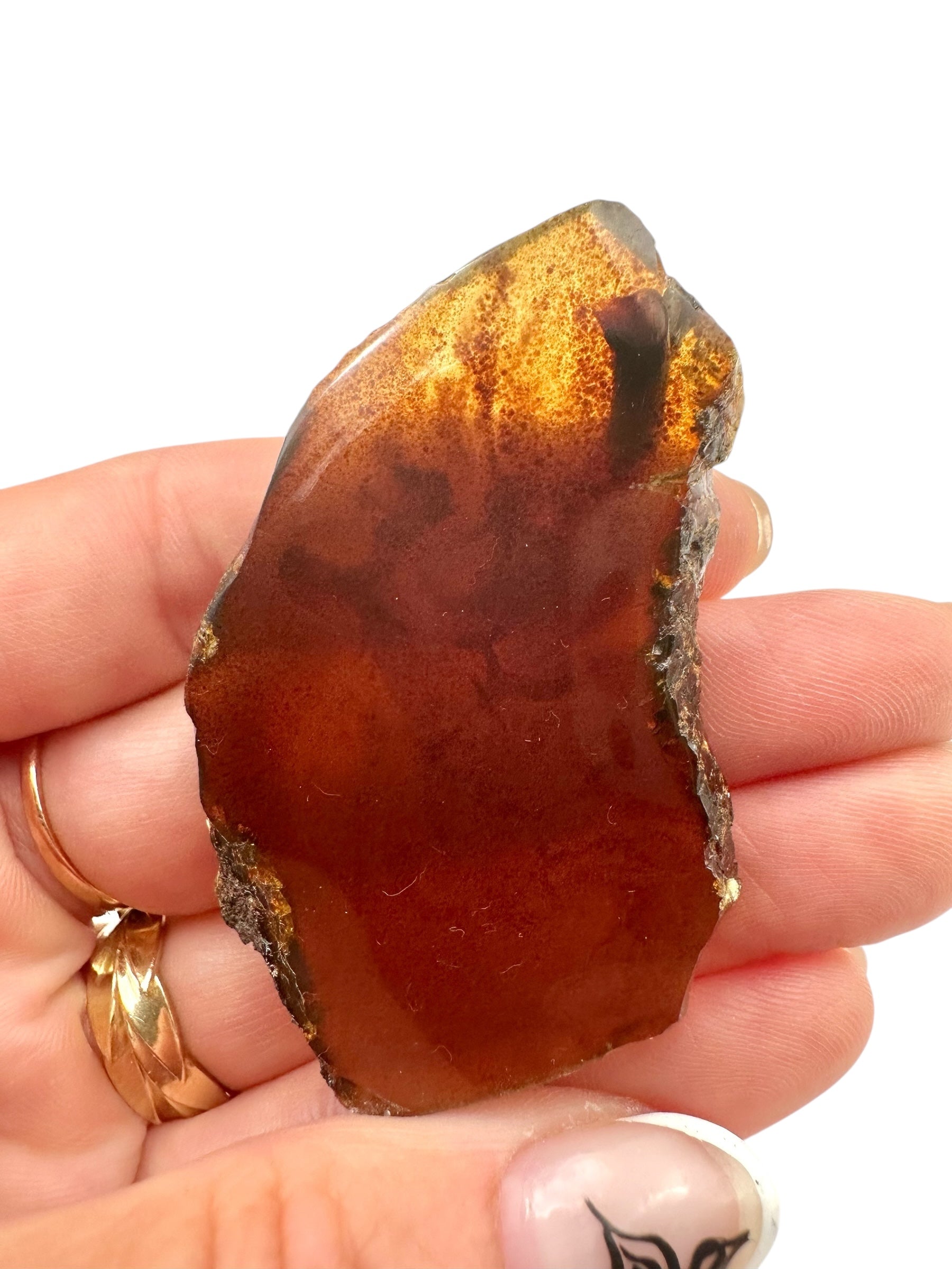 Amber slice – Sumatra, Indonesia - JN307