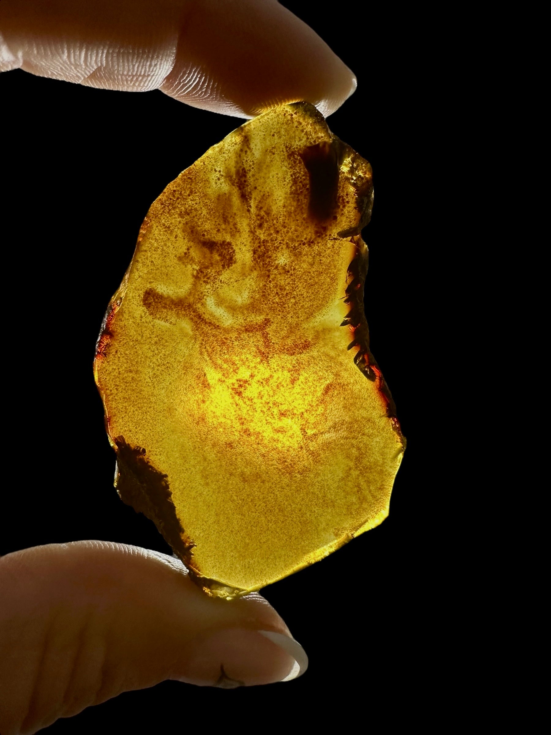 Amber slice – Sumatra, Indonesia - JN307