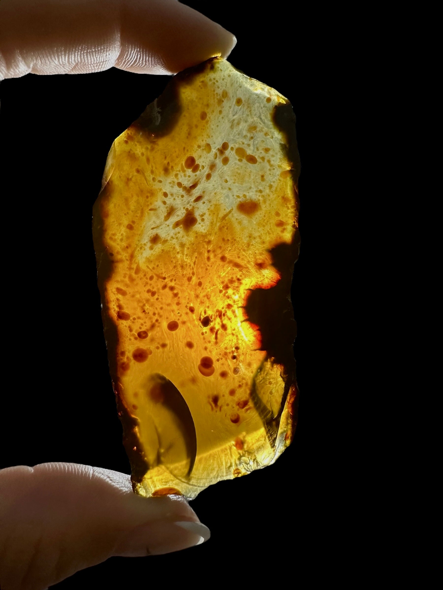 Amber slice – Sumatra, Indonesia - JN308
