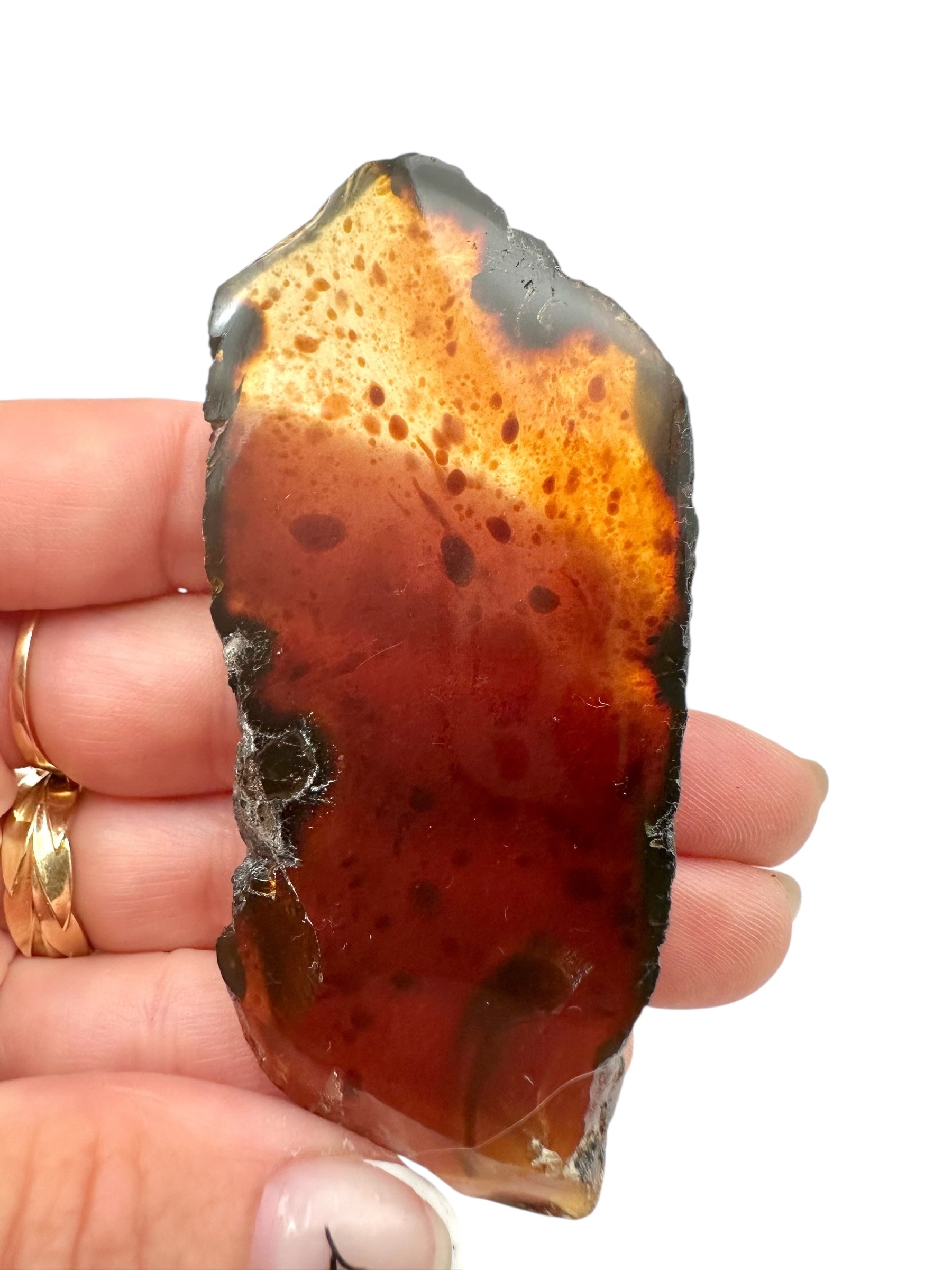 Amber slice – Sumatra, Indonesia