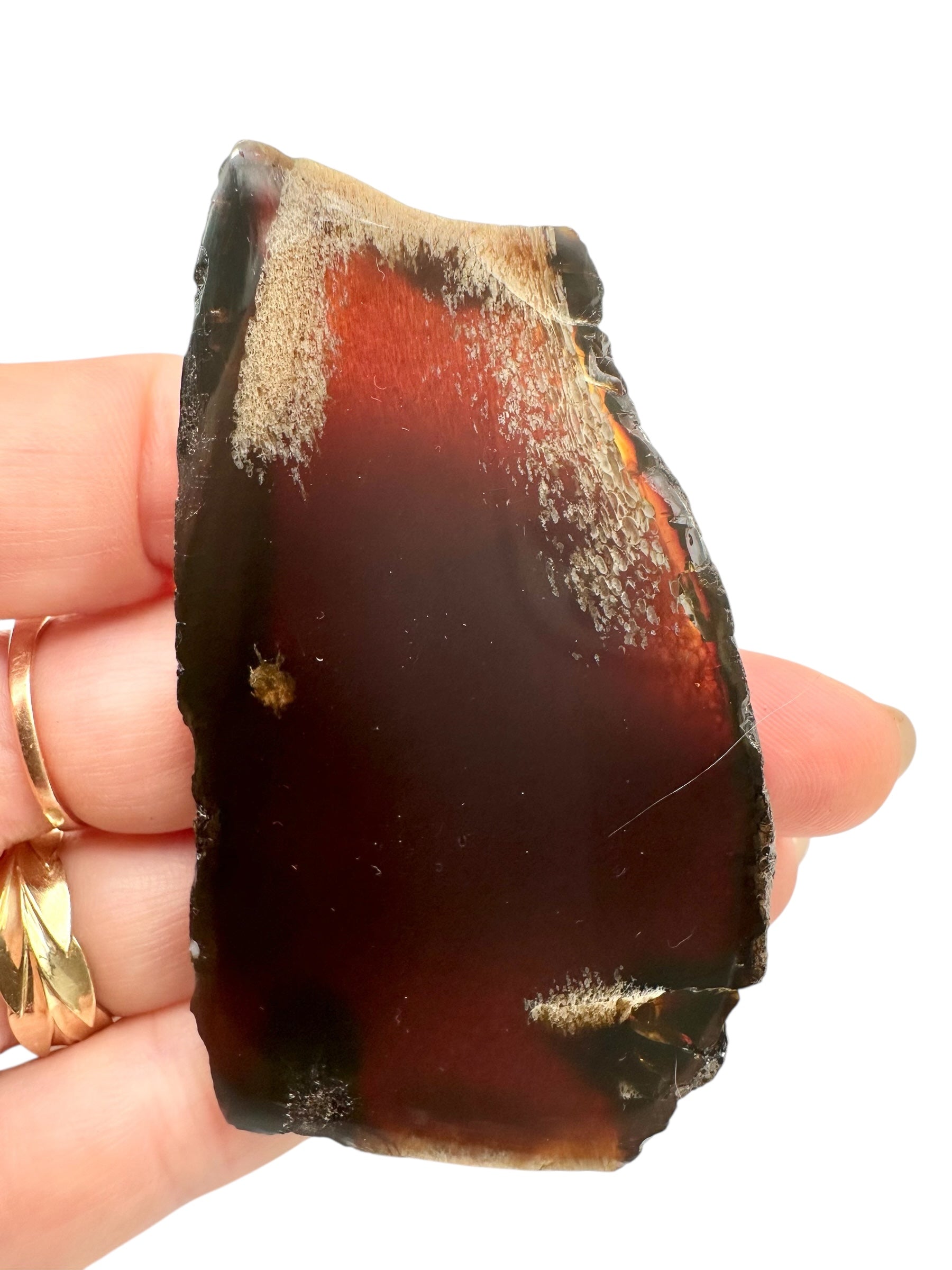 Amber slice – Sumatra, Indonesia - JN311