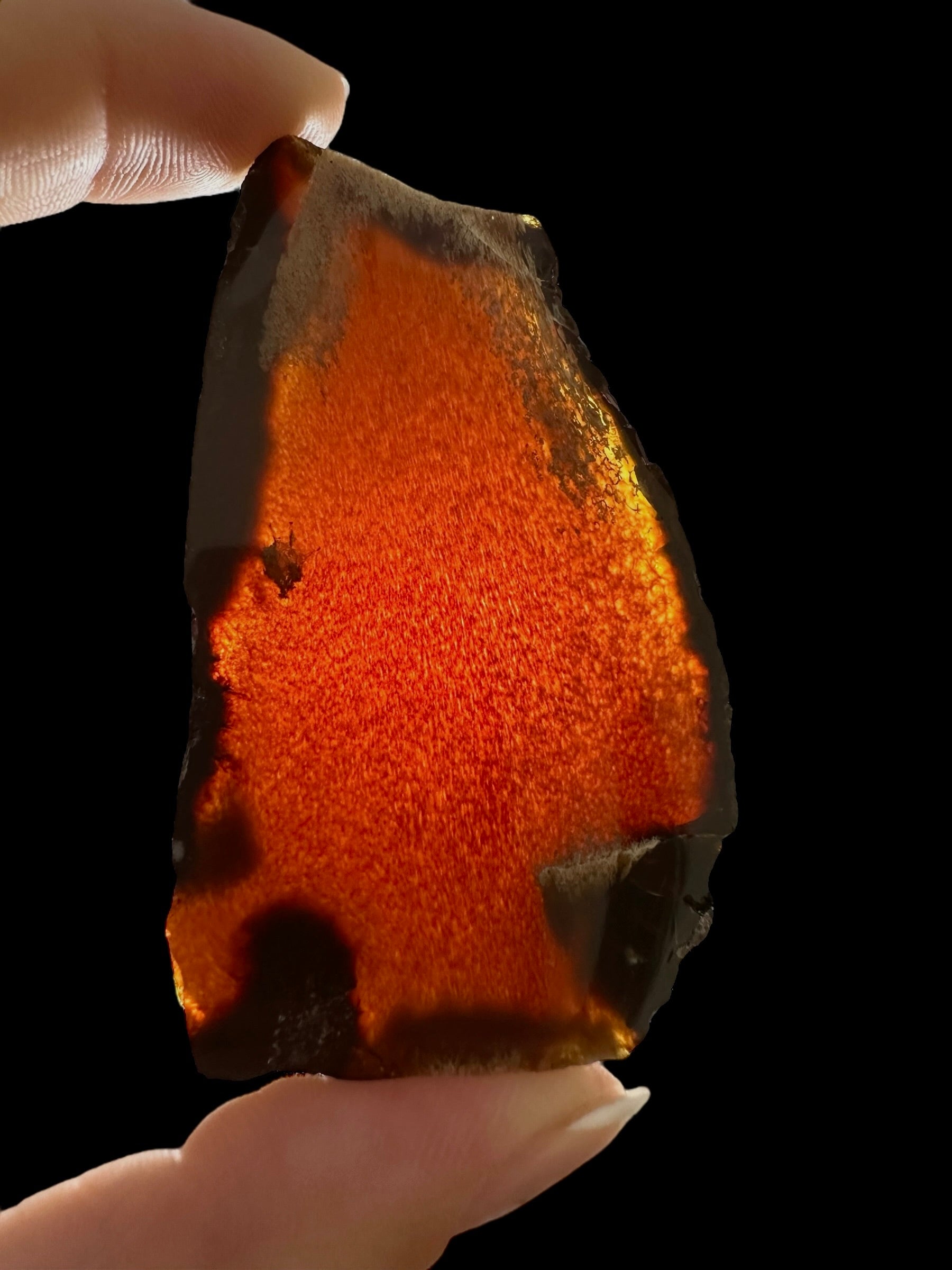 Amber slice – Sumatra, Indonesia - JN311