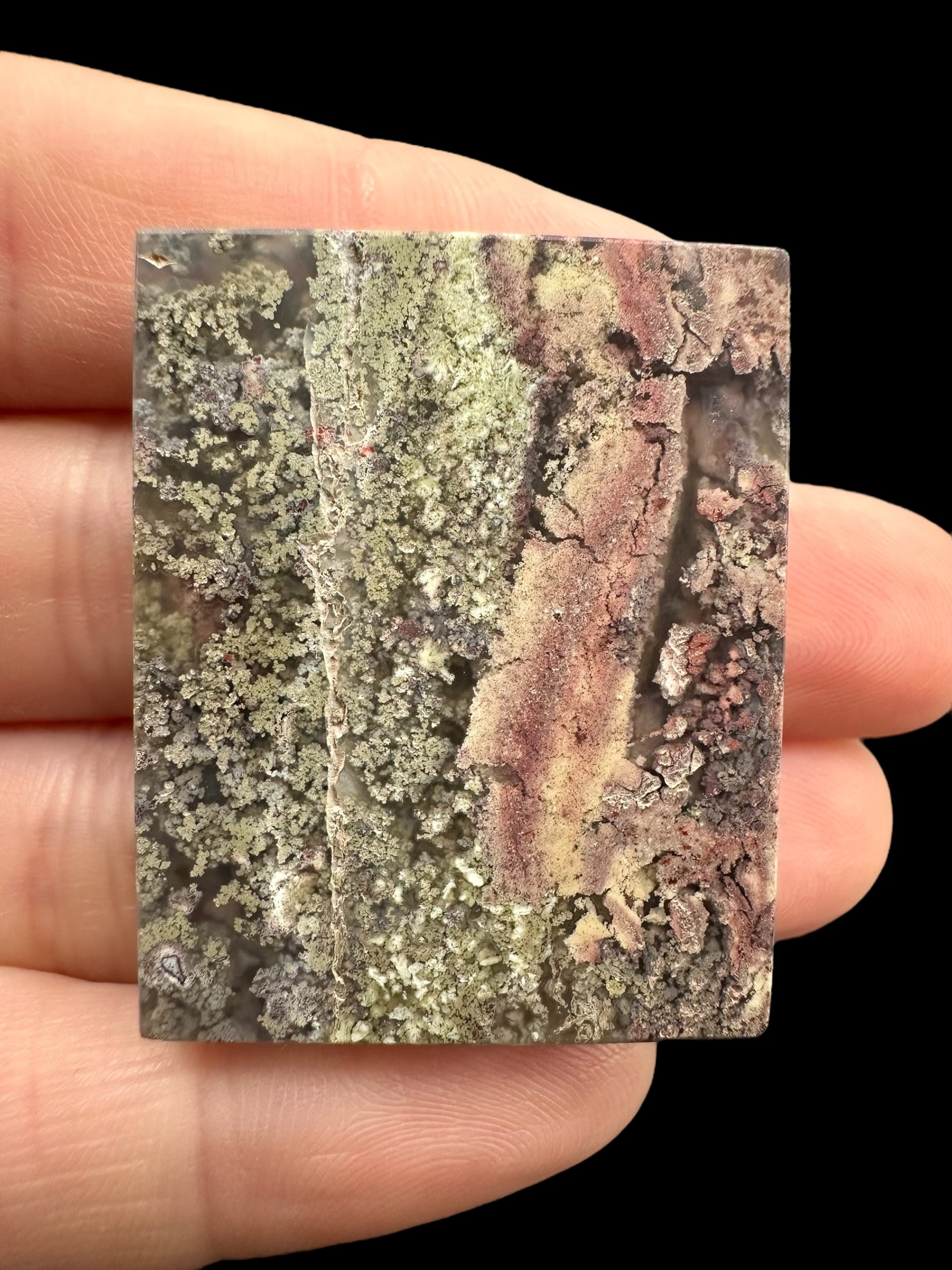 Moos agate plate – West Java, Indonesia