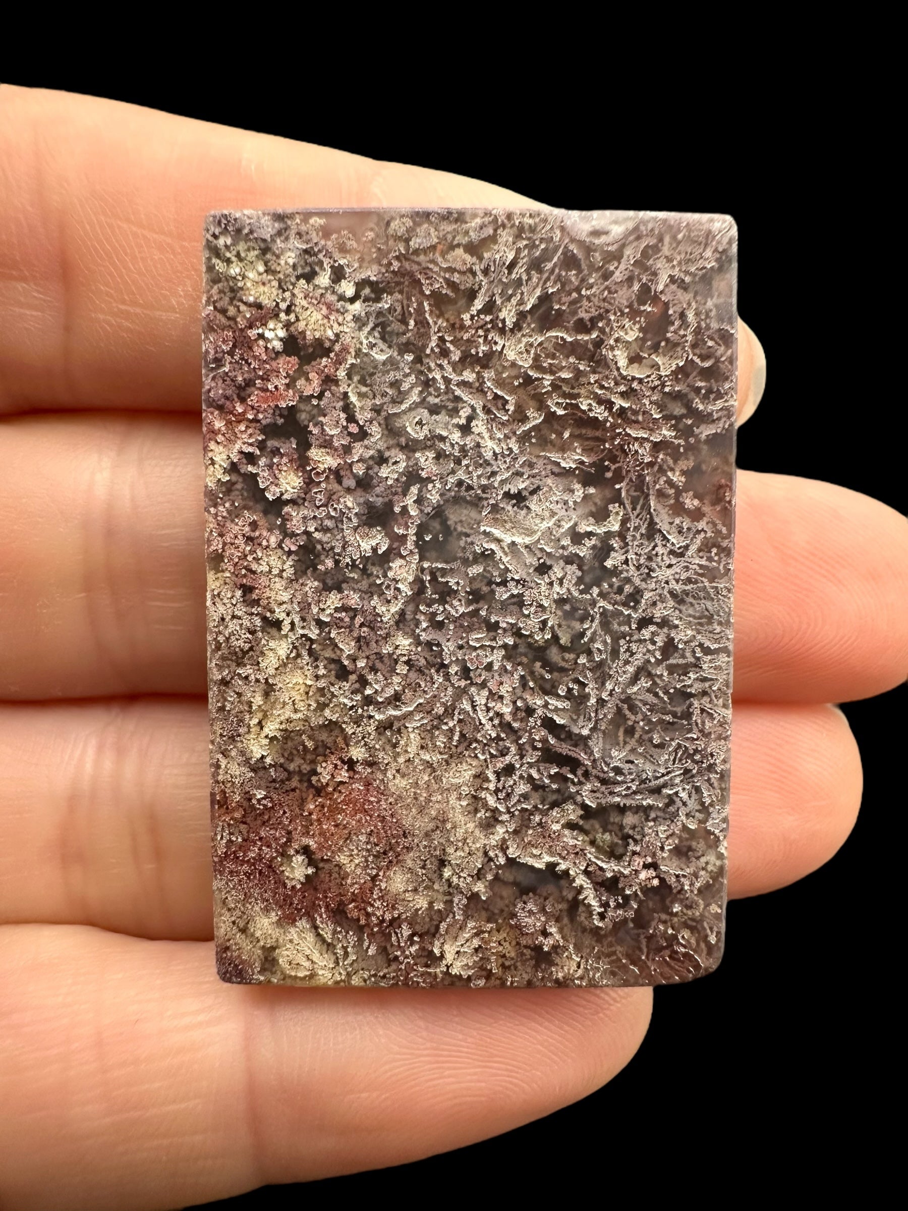 Moos agate plate – West Java, Indonesia