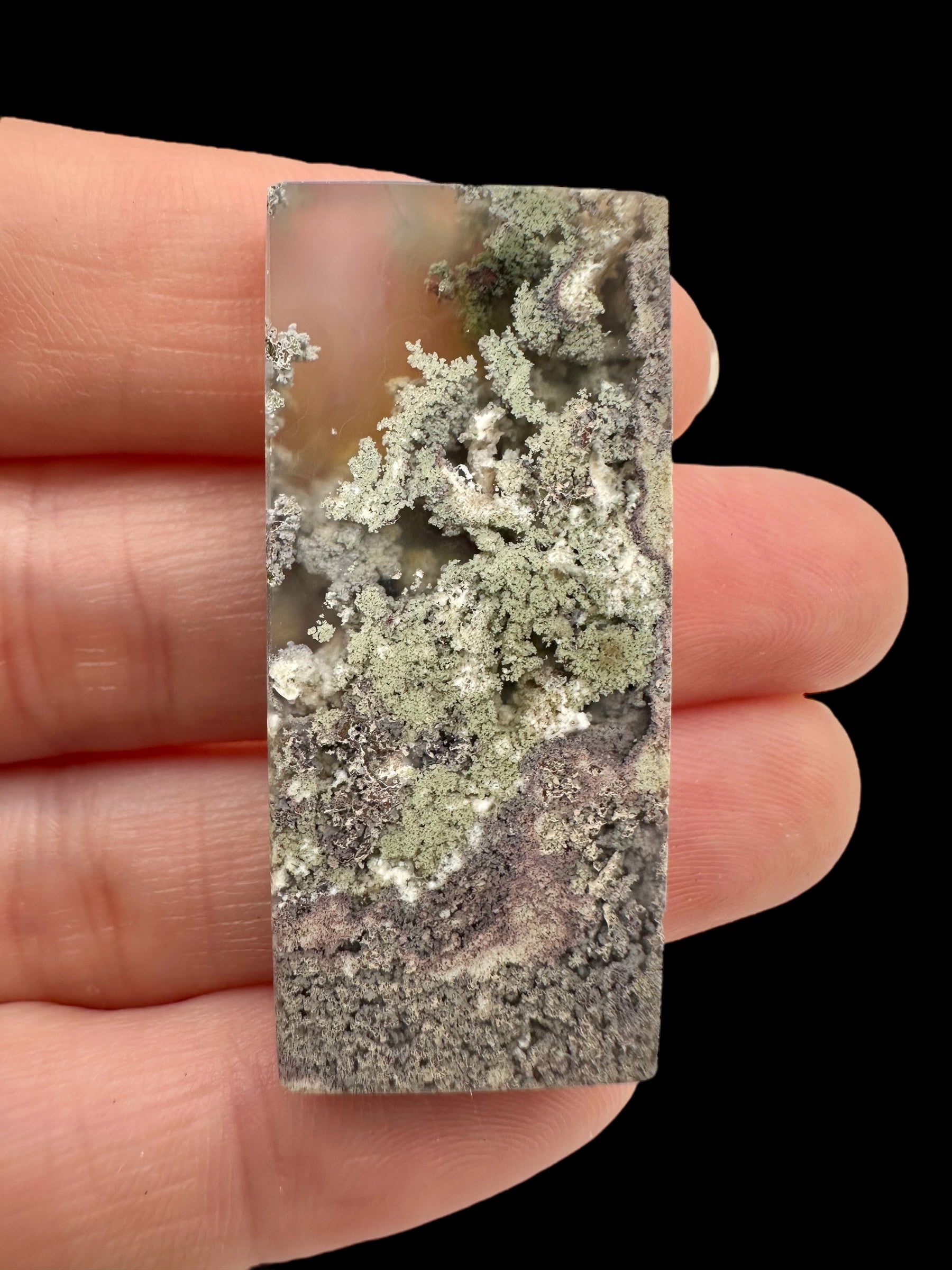 Moos agate plate – West Java, Indonesia