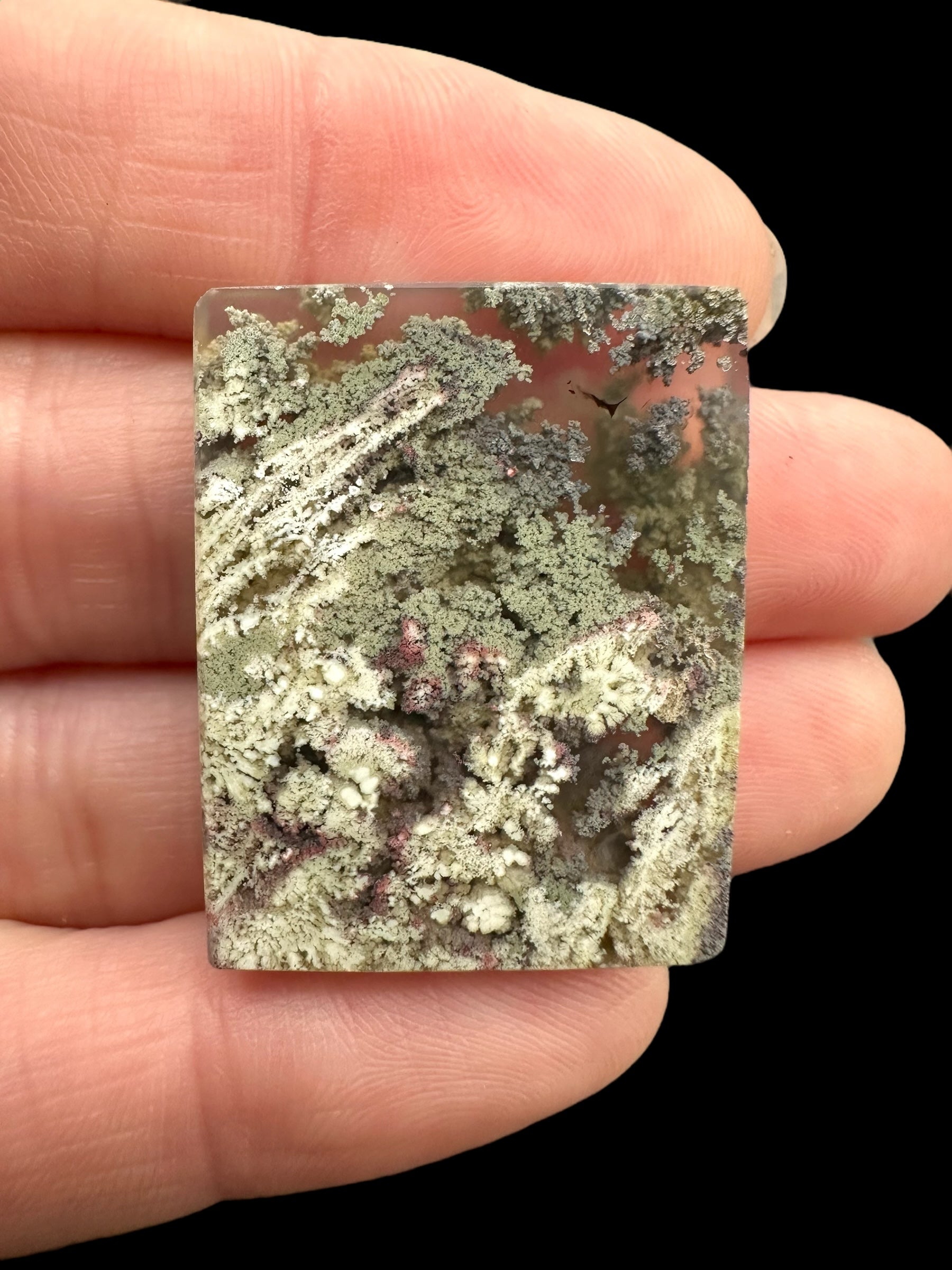 Moos agate plate – West Java, Indonesia