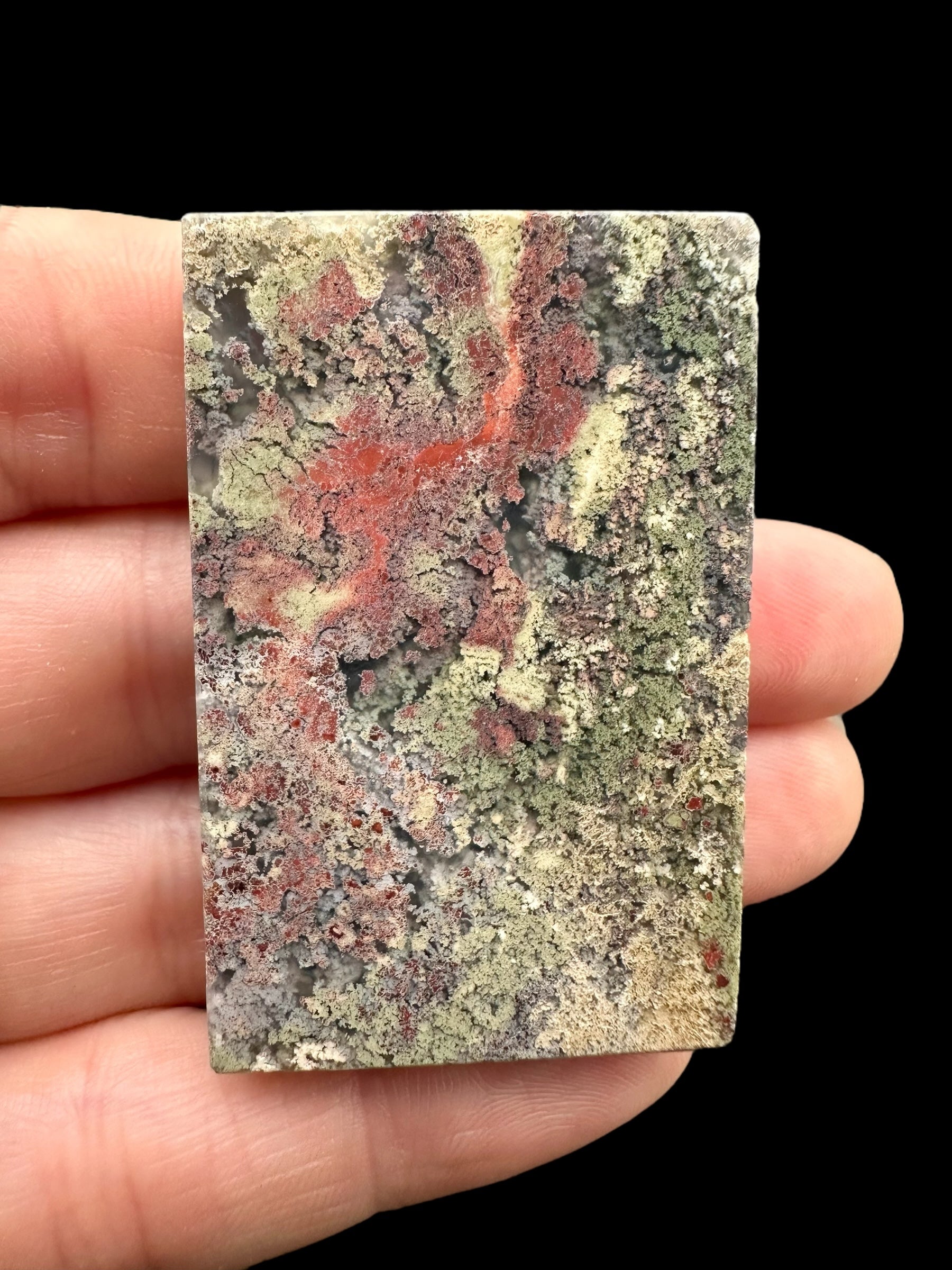 Moos agate plate – West Java, Indonesia